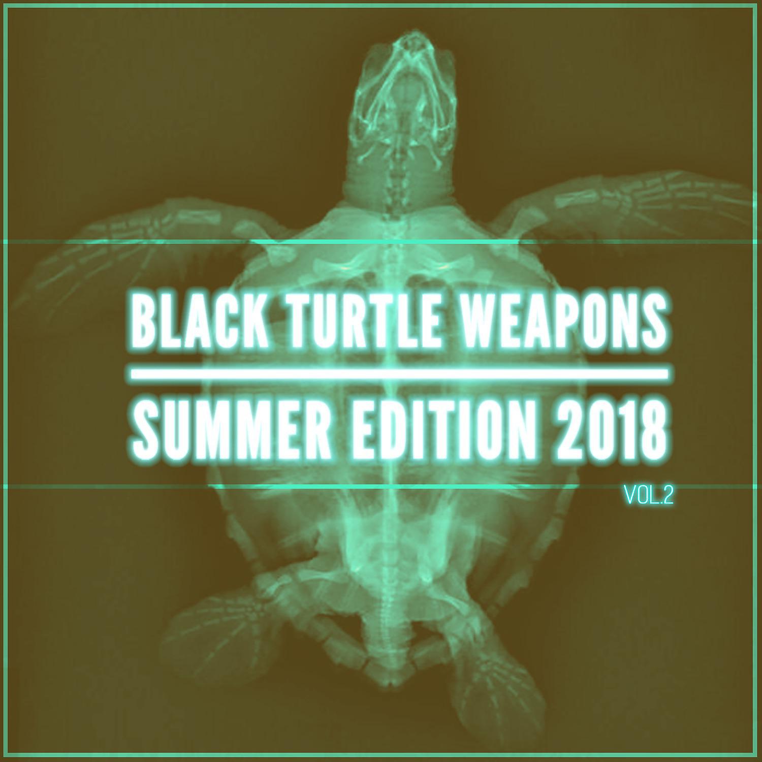 Постер альбома Black Turtle Weapons Summer Edition 2018, Vol. 2