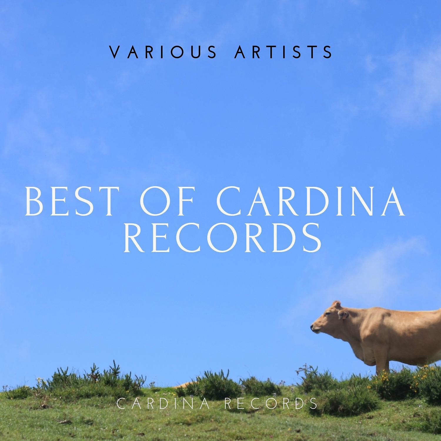 Постер альбома Best of Cardina Records