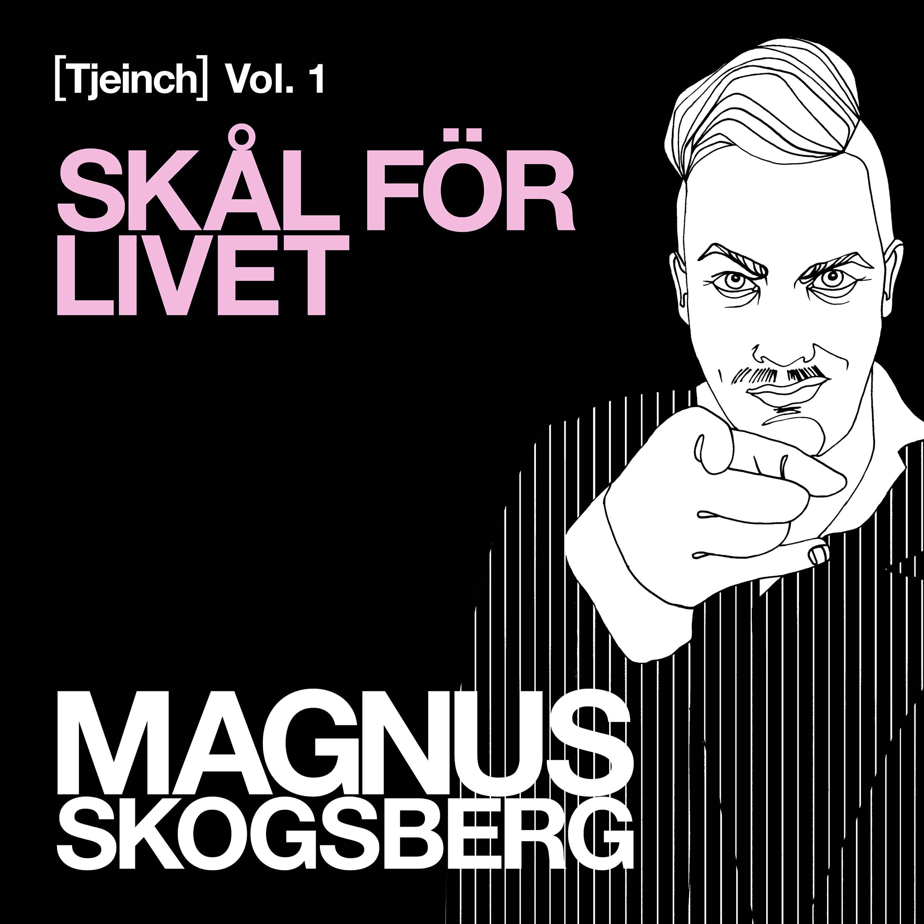 Постер альбома Skål för livet