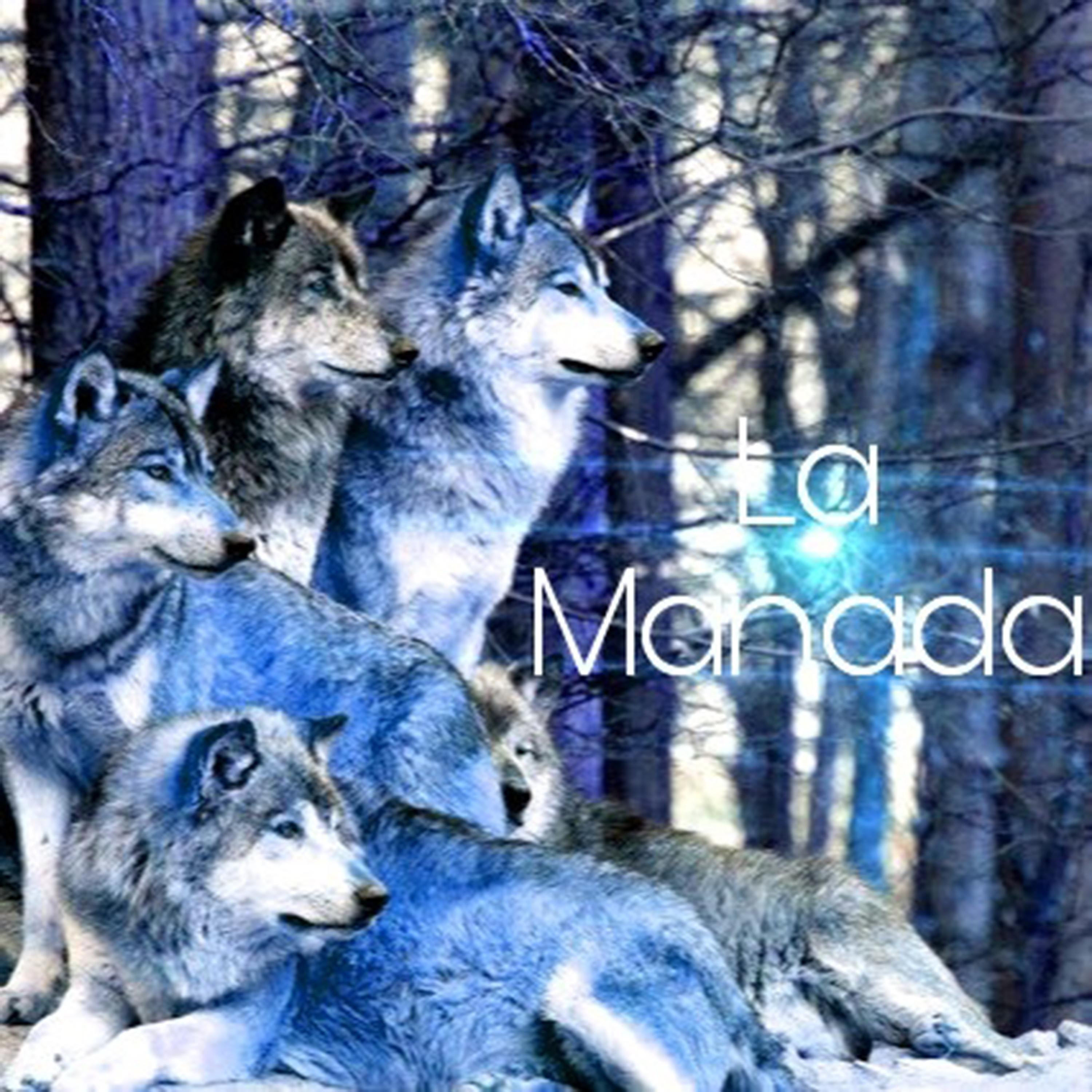 Постер альбома La Manada