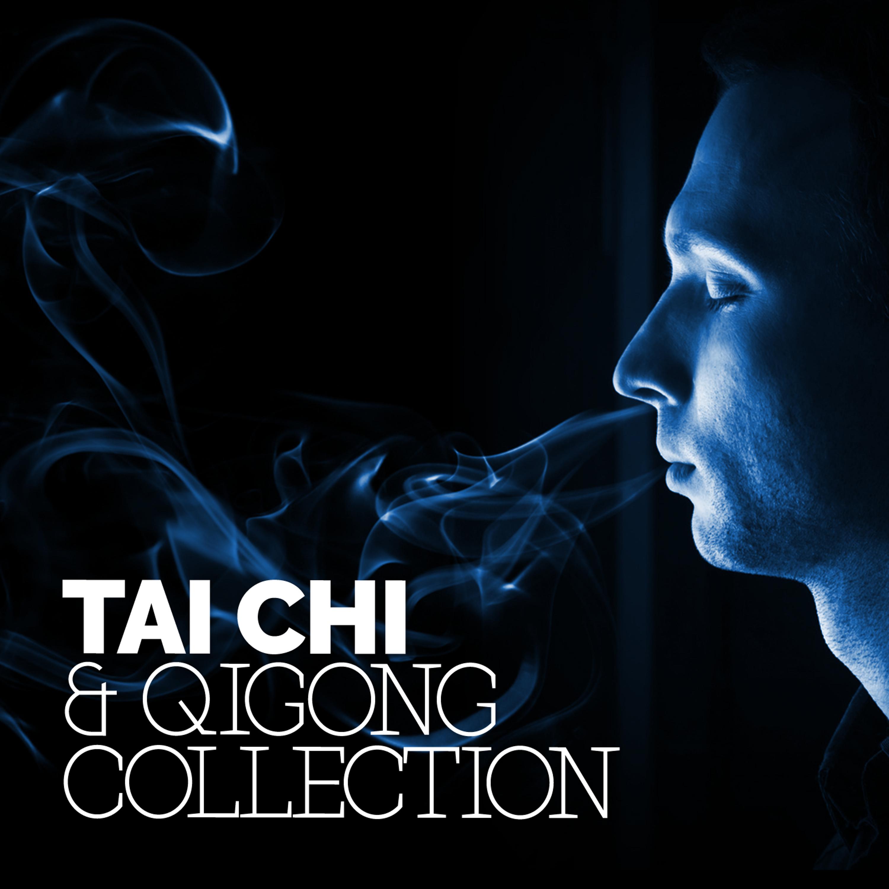 Постер альбома Tai Chi & Qigong Collection