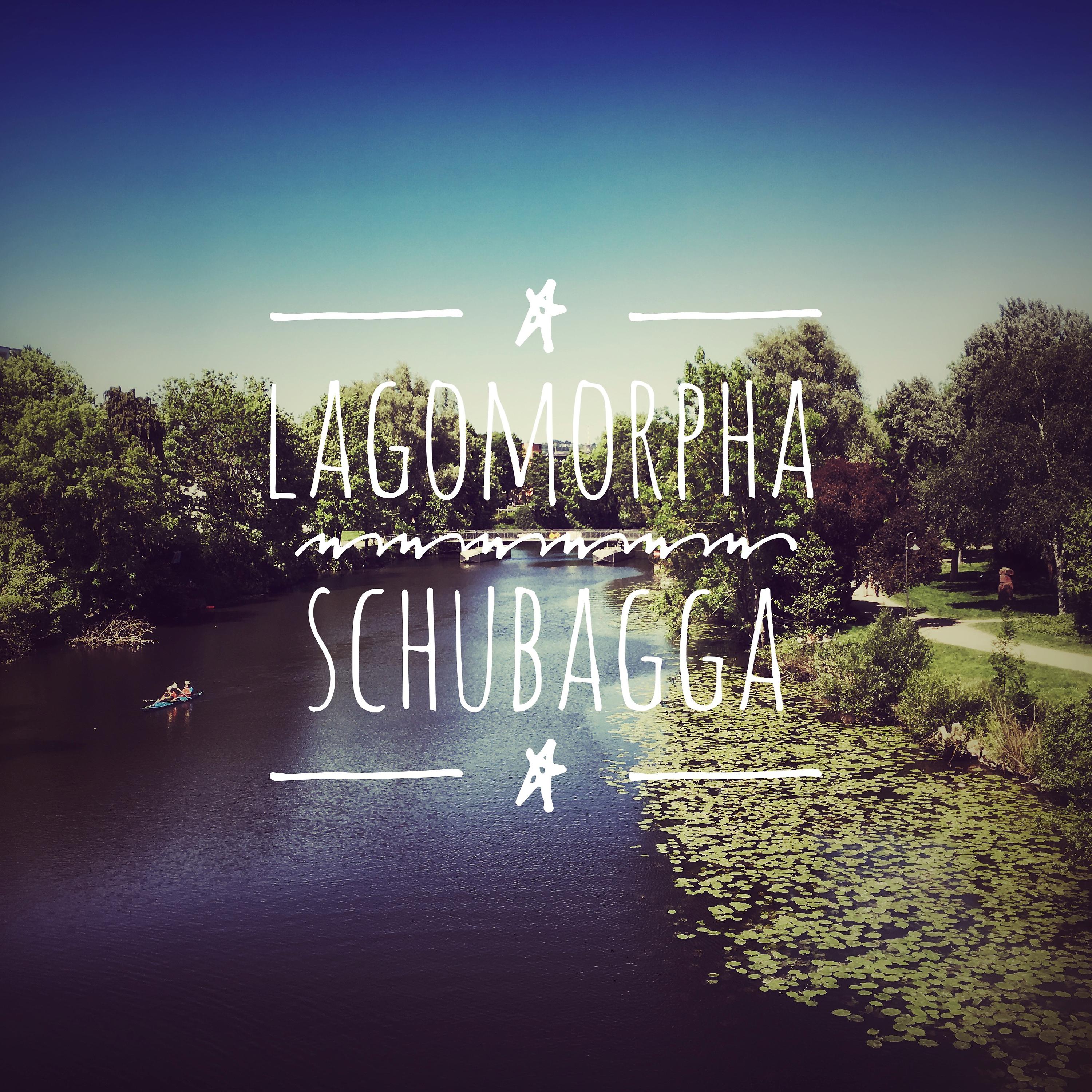 Постер альбома Schubagga