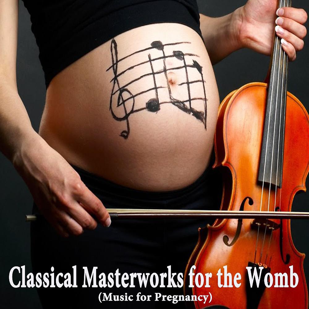 Постер альбома Classical Masterworks for the Womb (Music for Pregnancy)