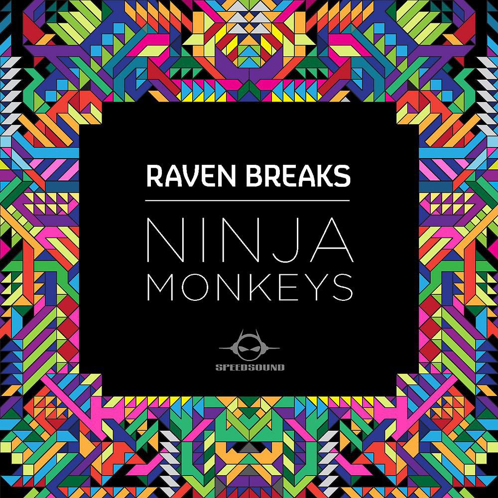 Постер альбома Ninja Monkeys