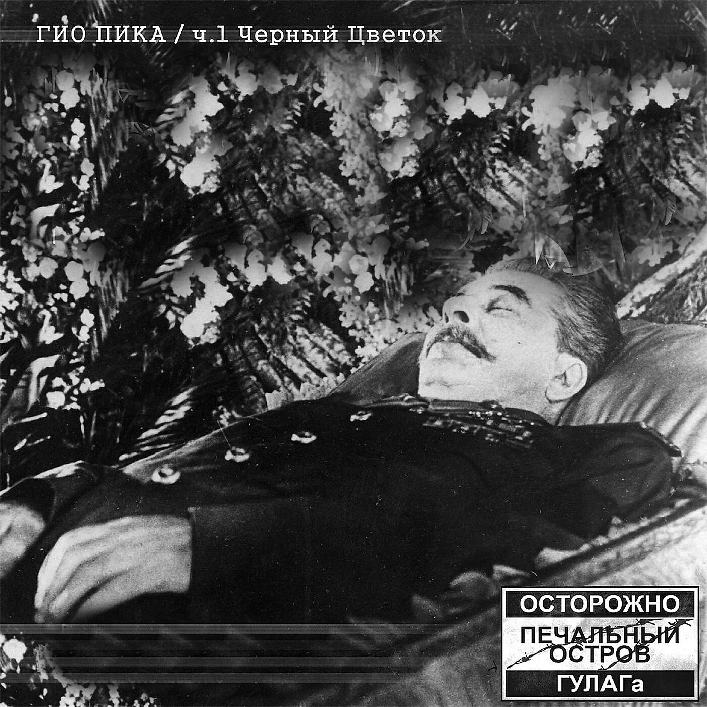 Гио ПиКа - Чёрный цветок