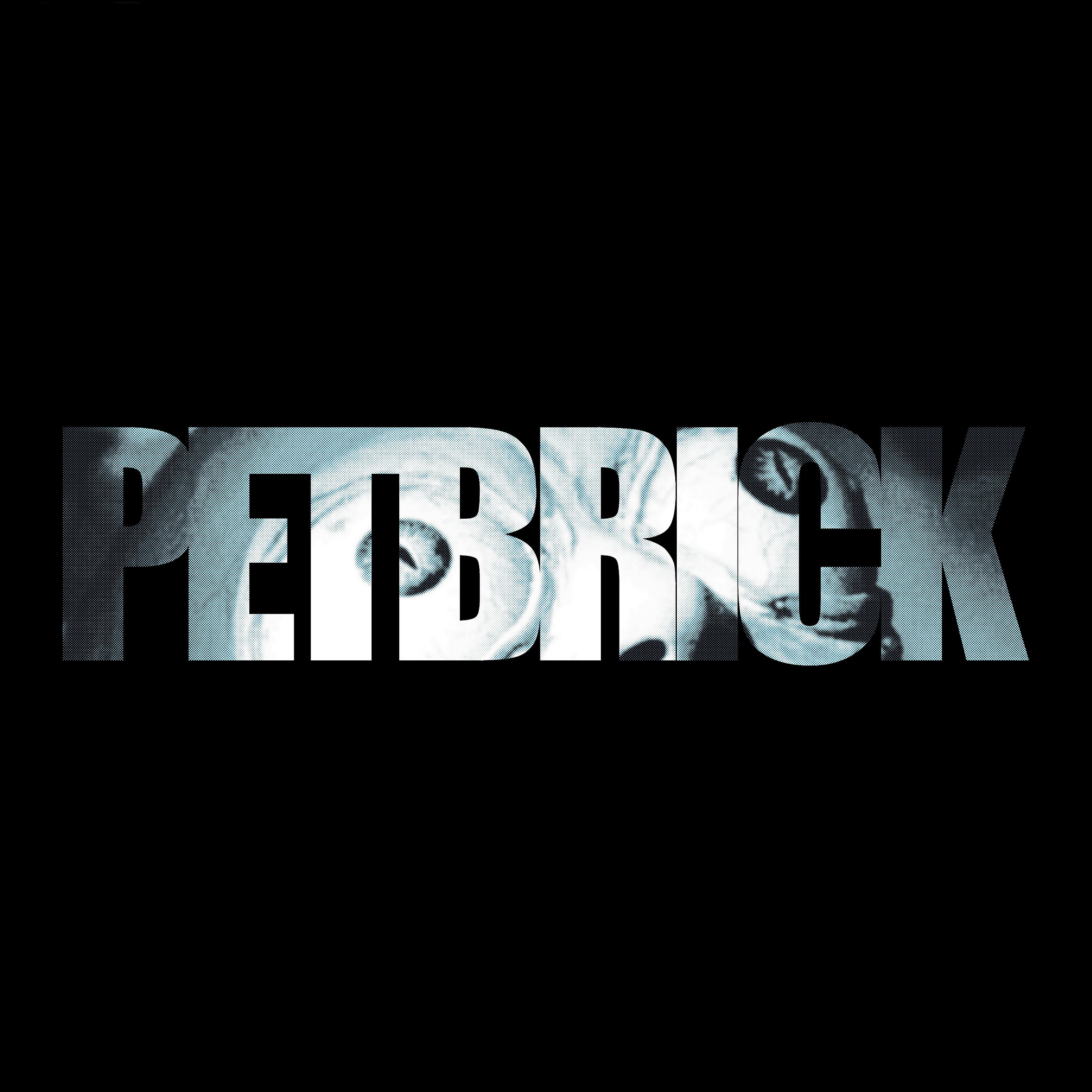 Petbrick - Trucker Fucker