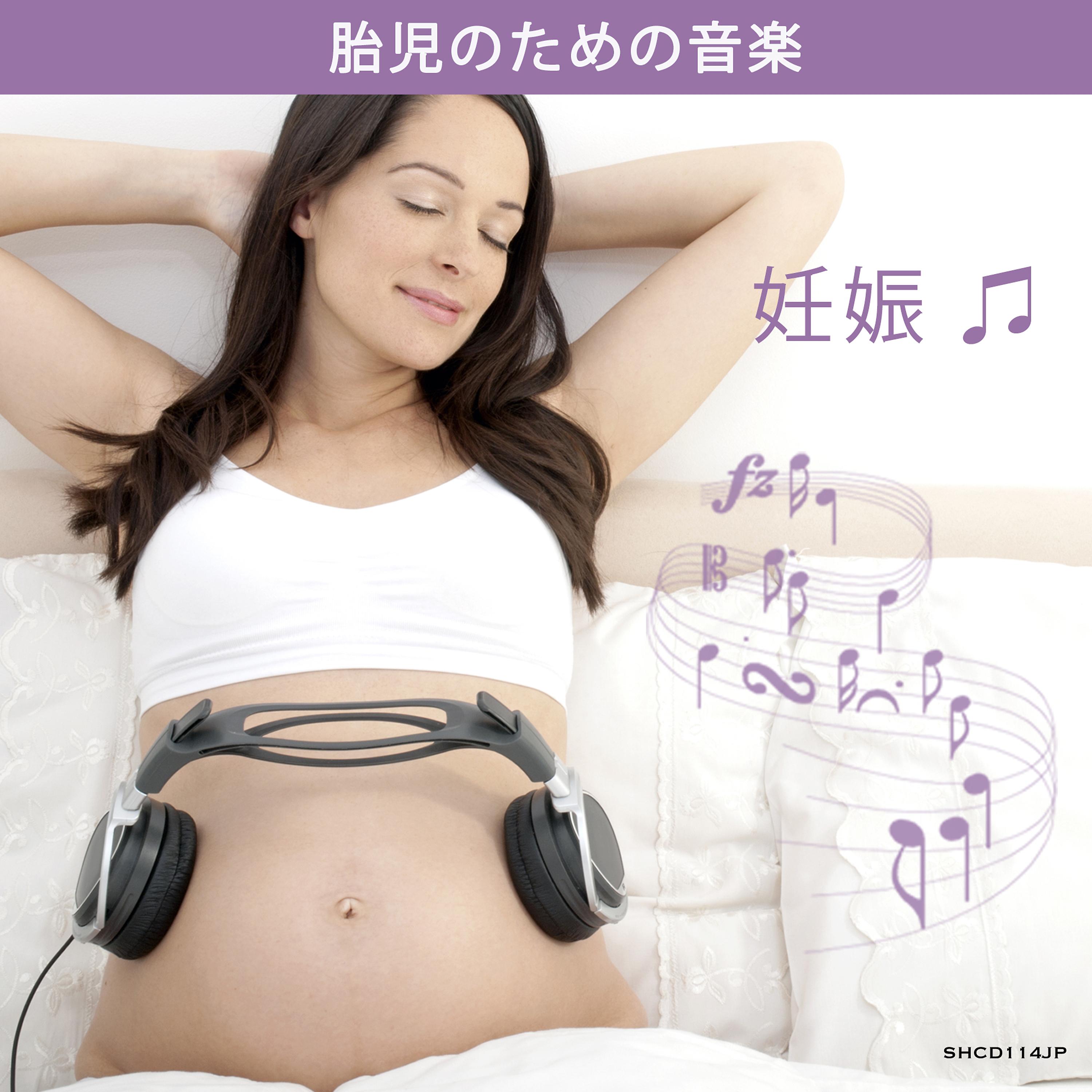 Постер альбома 妊娠  ♫  胎児のための音楽