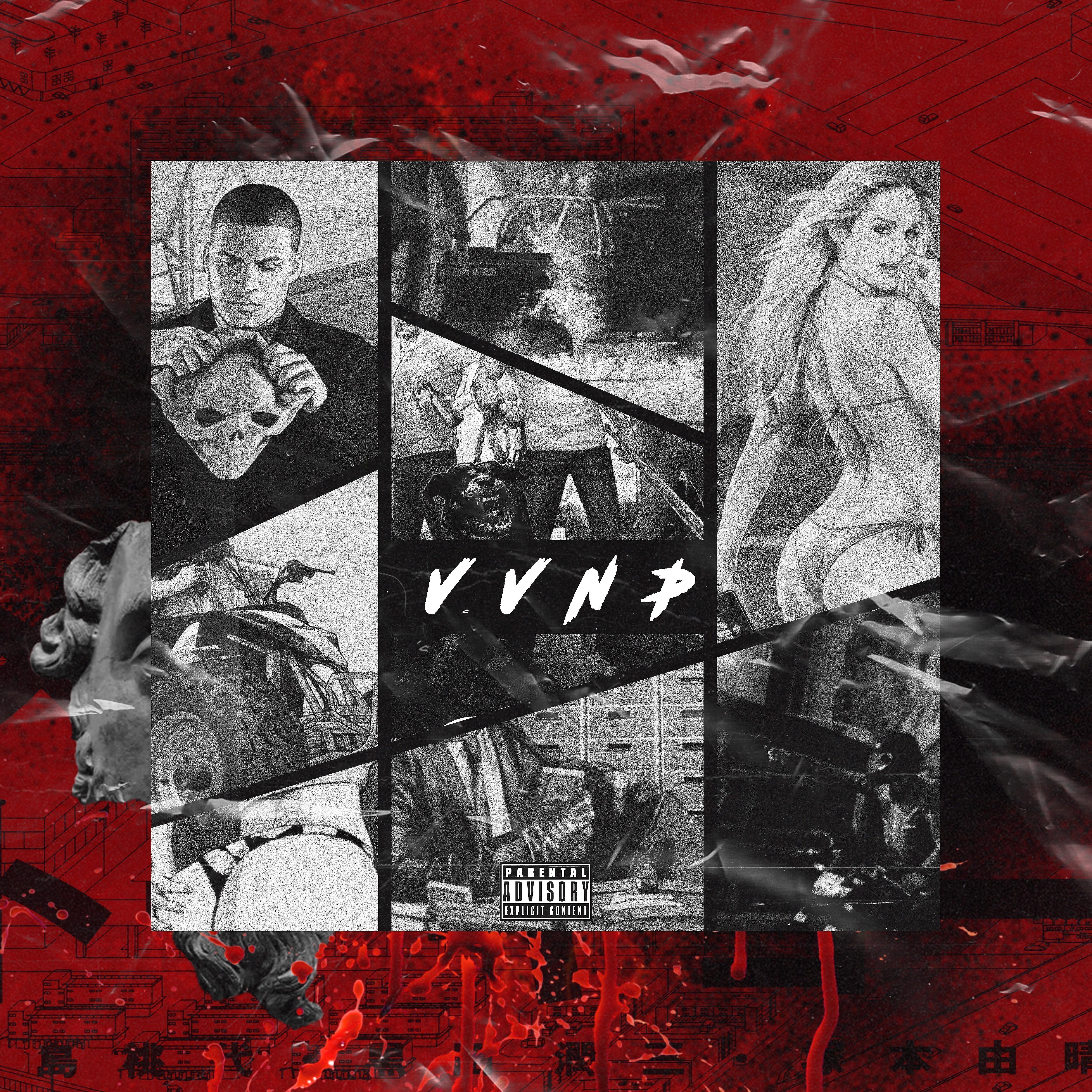 Постер альбома Vvnp