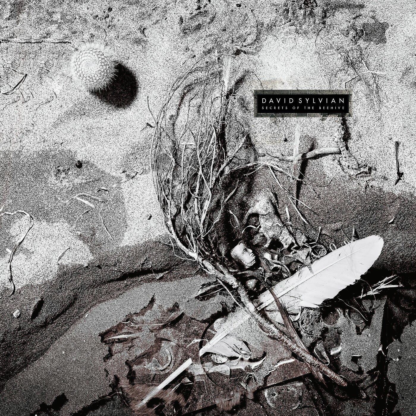 David Sylvian - Maria