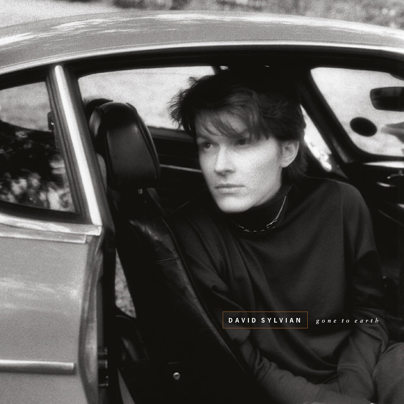 David Sylvian - Taking The Veil