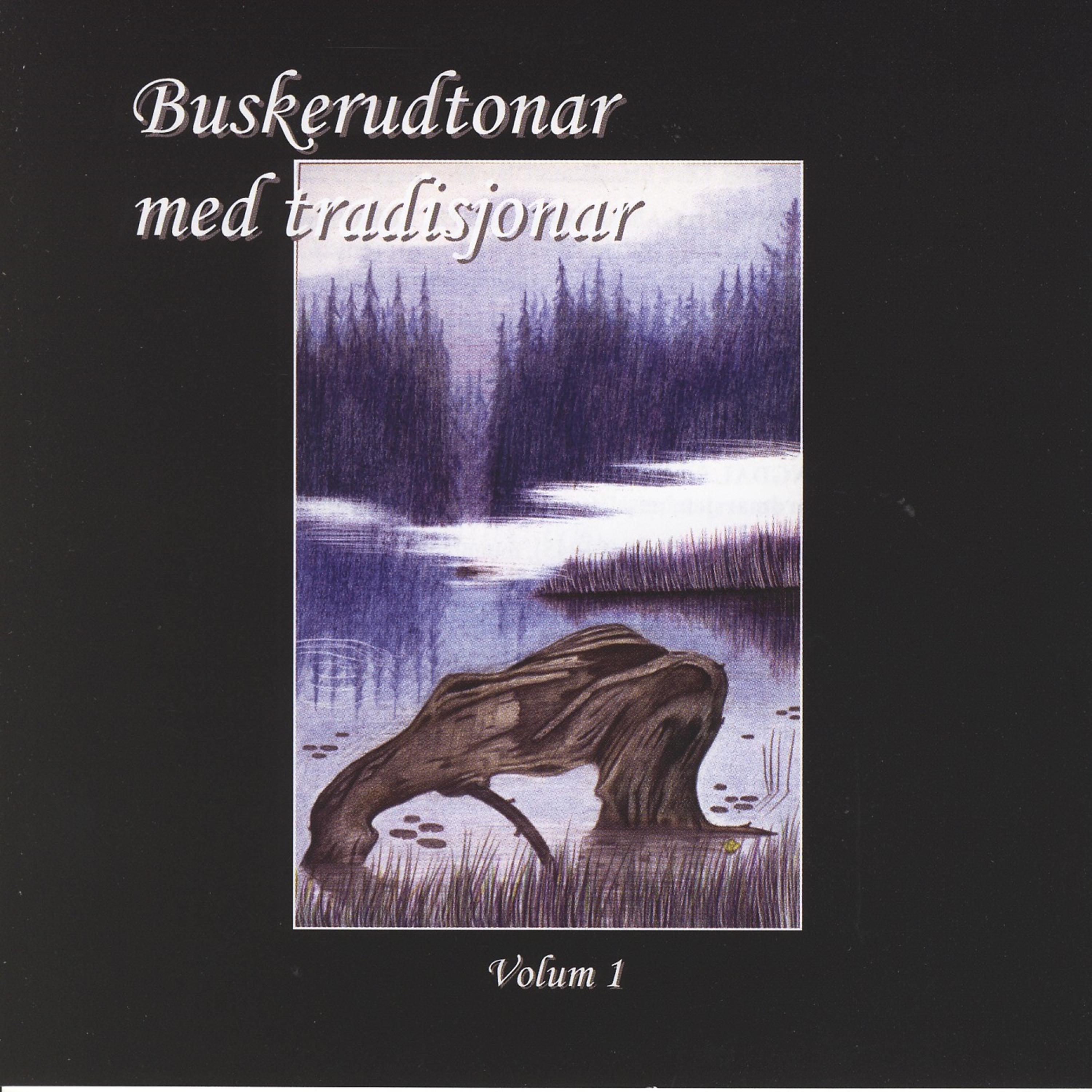 Постер альбома Buskerudtonar Med Tradisjonar, Vol, 1