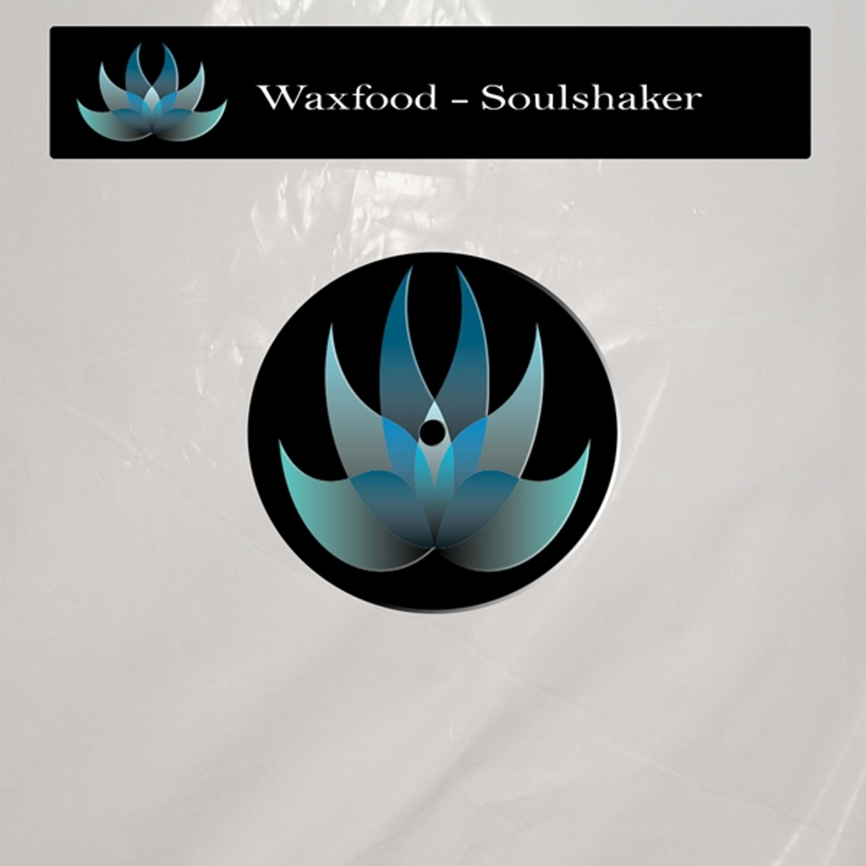 Постер альбома Soulshaker