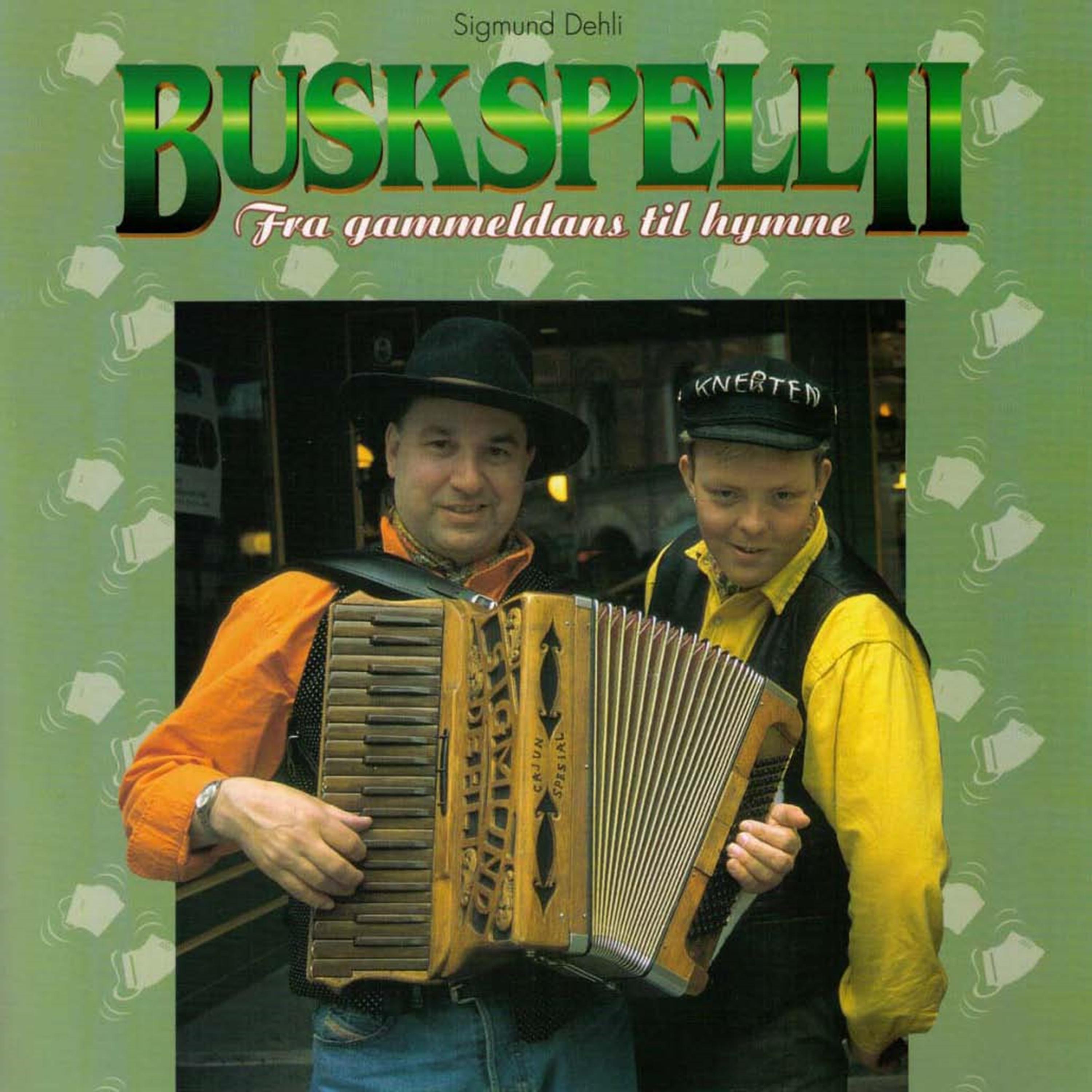 Постер альбома Buskspell Ii, Fra Gammeldans Til Hymne