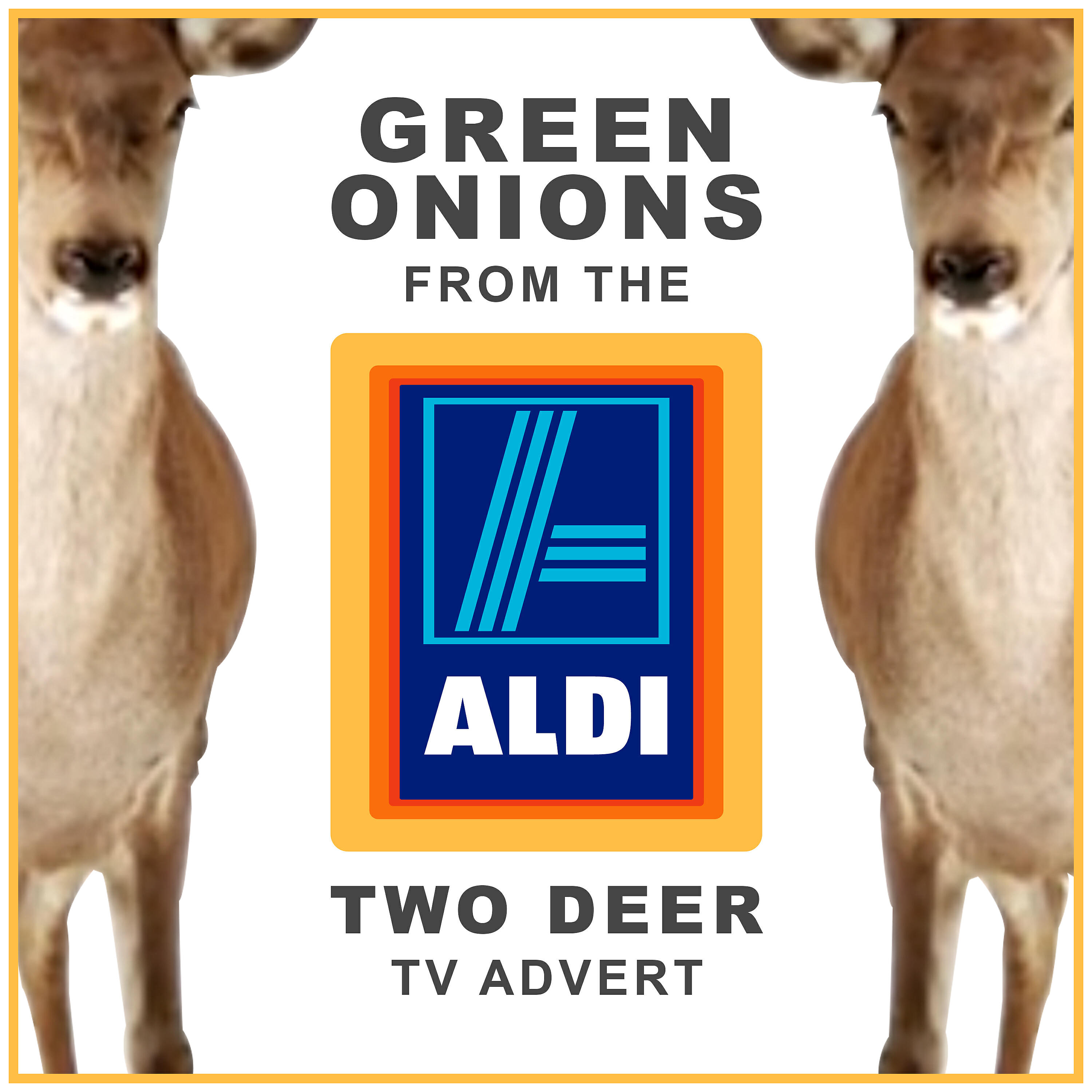 Booker T - Green Onions (From the Aldi 