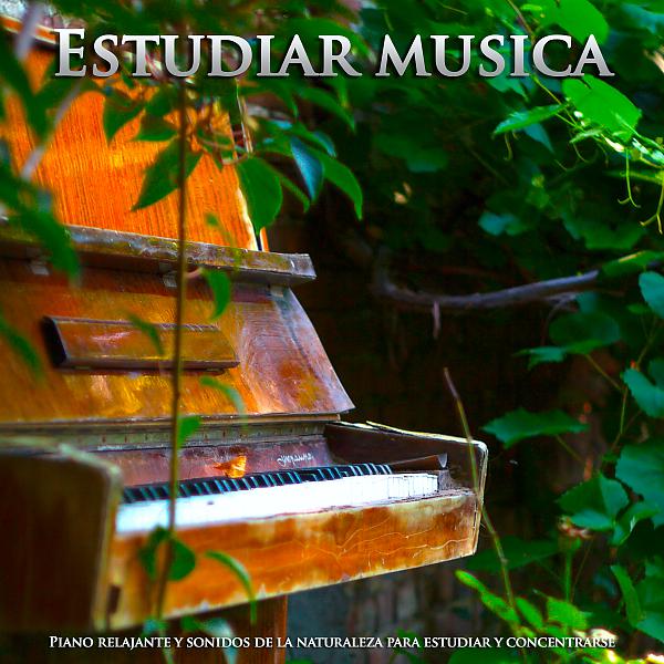Постер альбома Estudiar musica: Piano relajante y sonidos de la naturaleza para estudiar y concentrarse