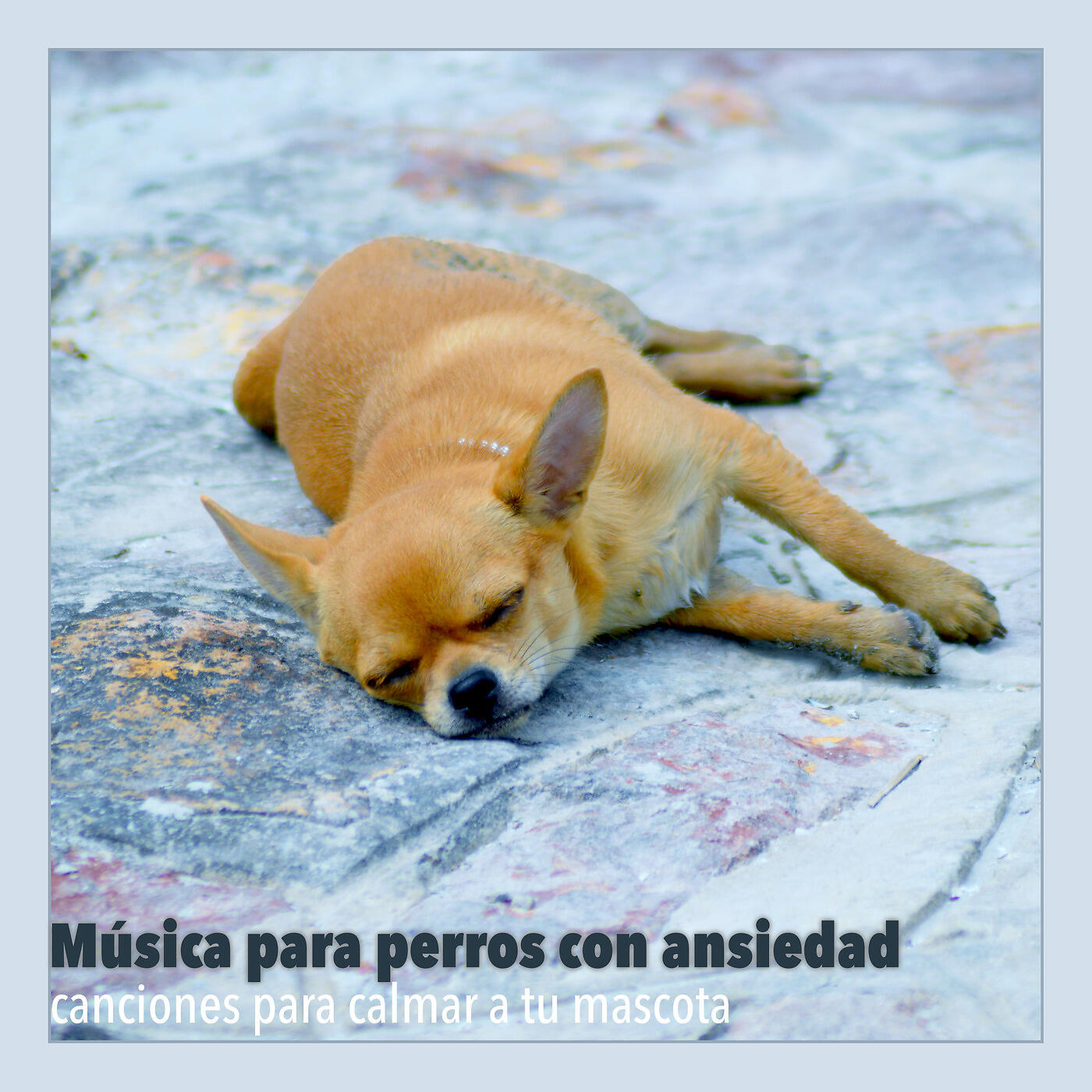 RelaxMyDog - Mar de Tranquilidad