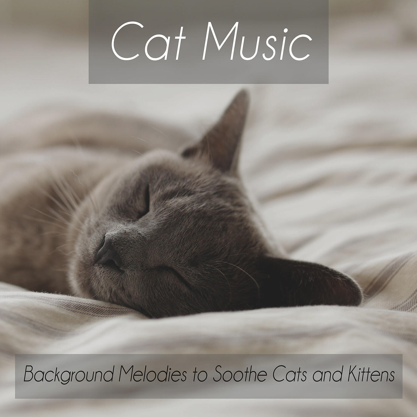 RelaxMyCat - Feline Freedom