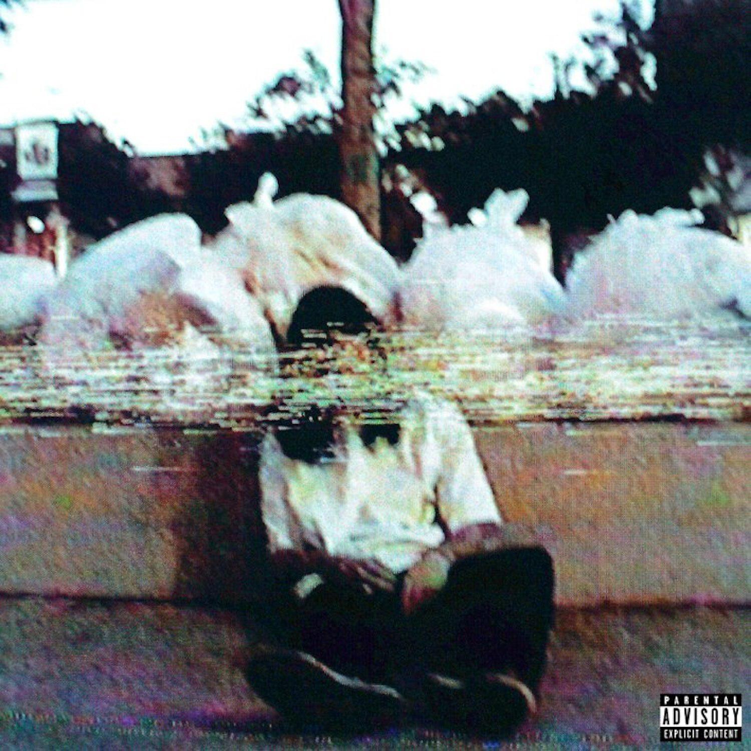 BONES - Exe