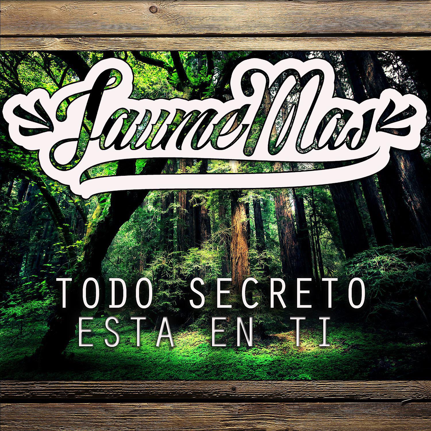 Постер альбома Todo Secreto Está en Ti