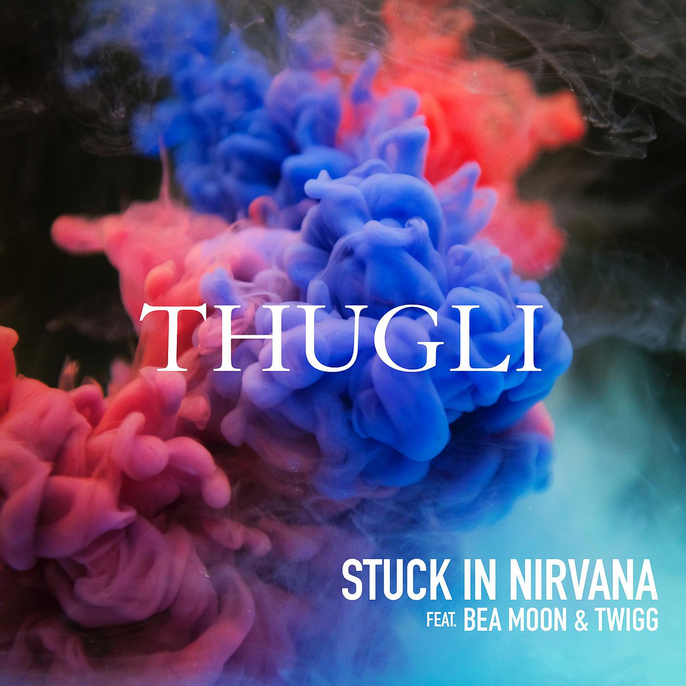 Постер альбома Stuck in Nirvana