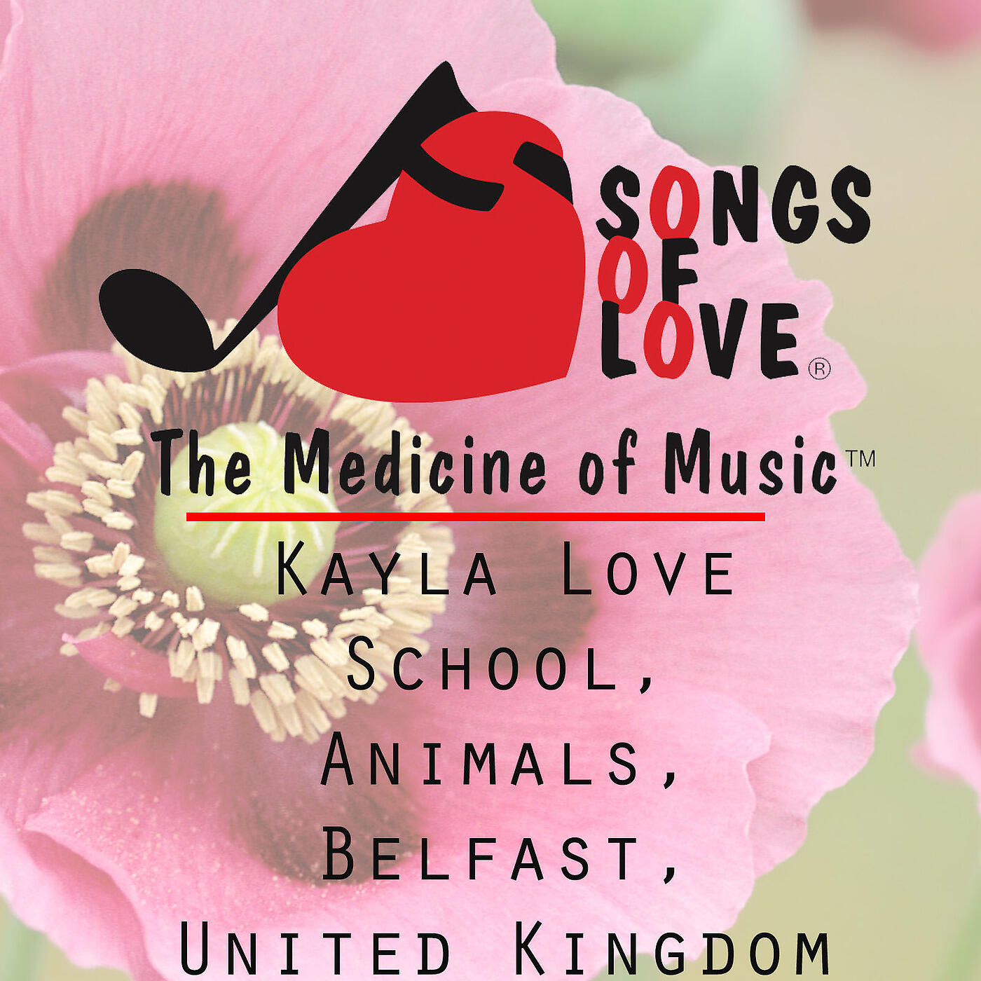 C. Allocco - Kayla Love School, Animals, Belfast, United Kingdom
