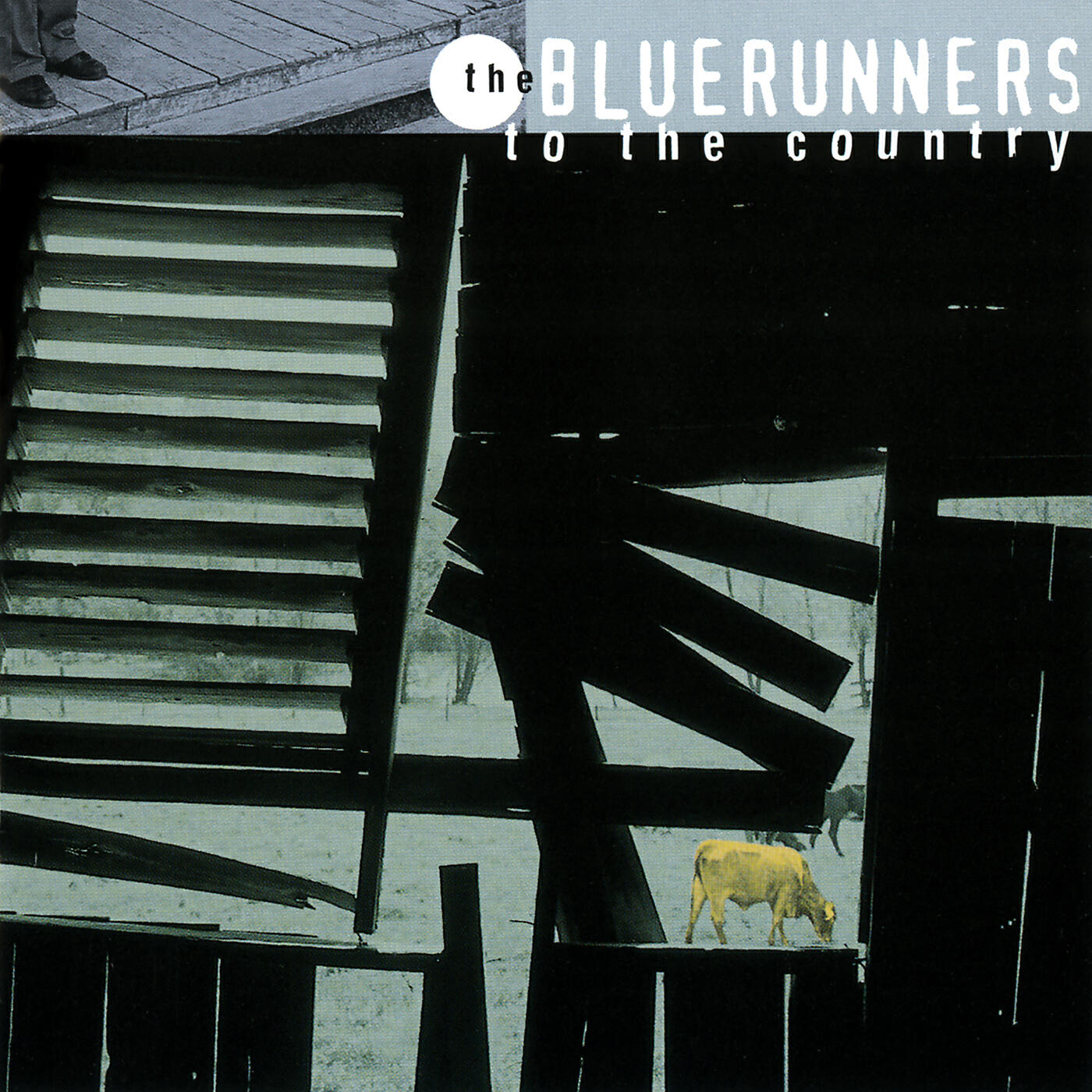 The Bluerunners - Stringbean