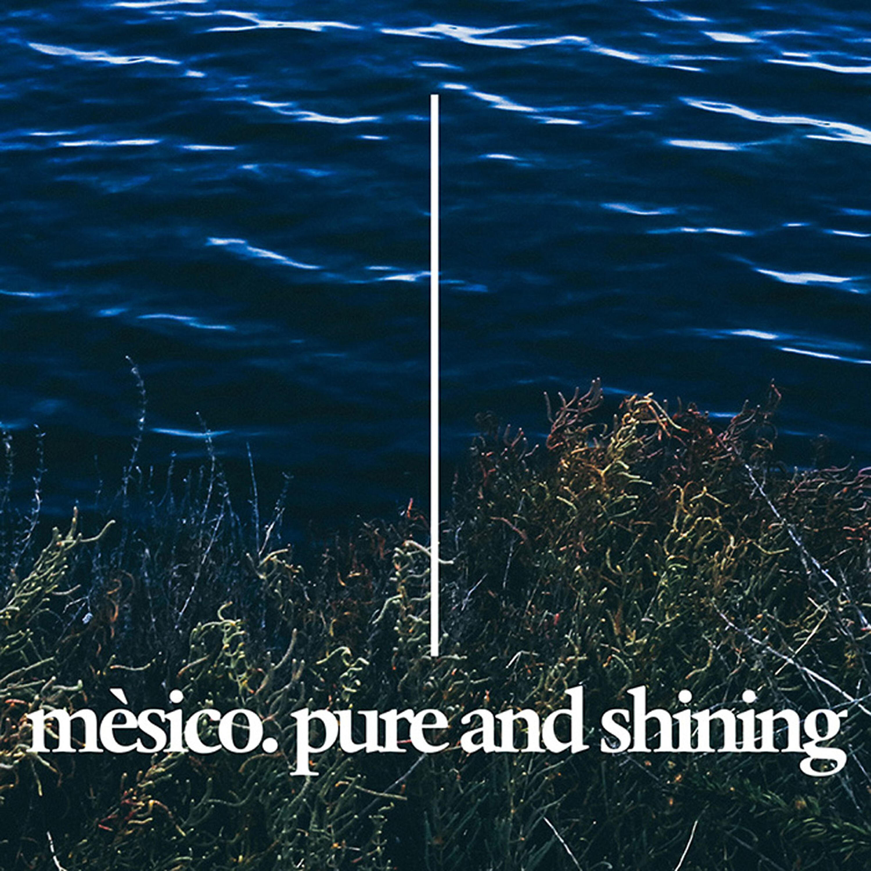 Mèsico - Abdicate to Love