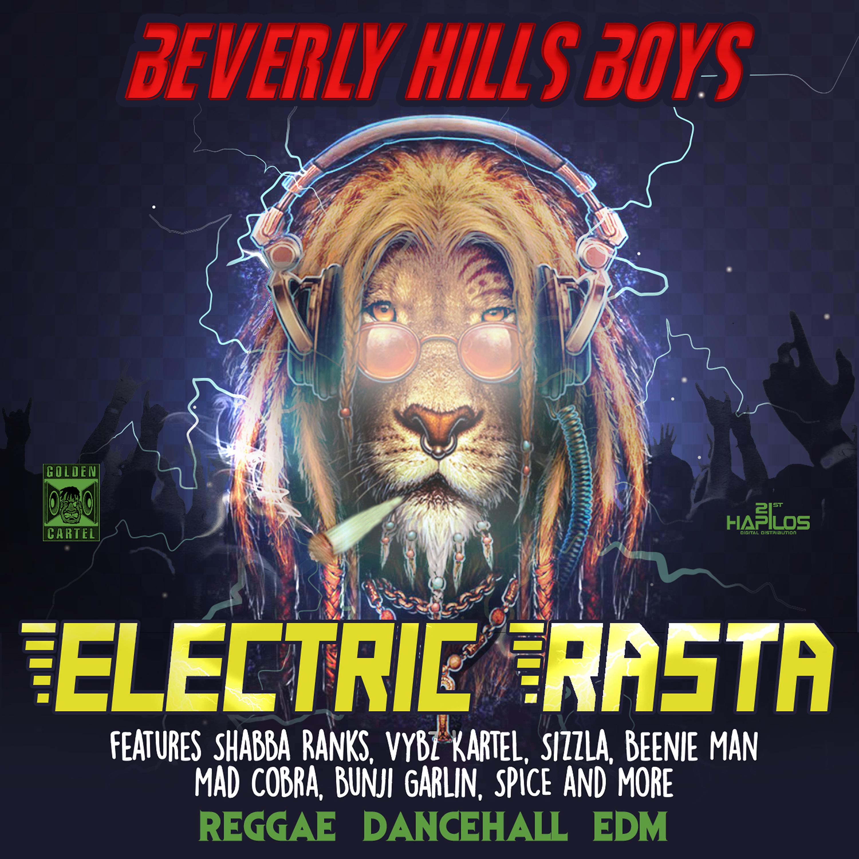 Постер альбома Electric Rasta