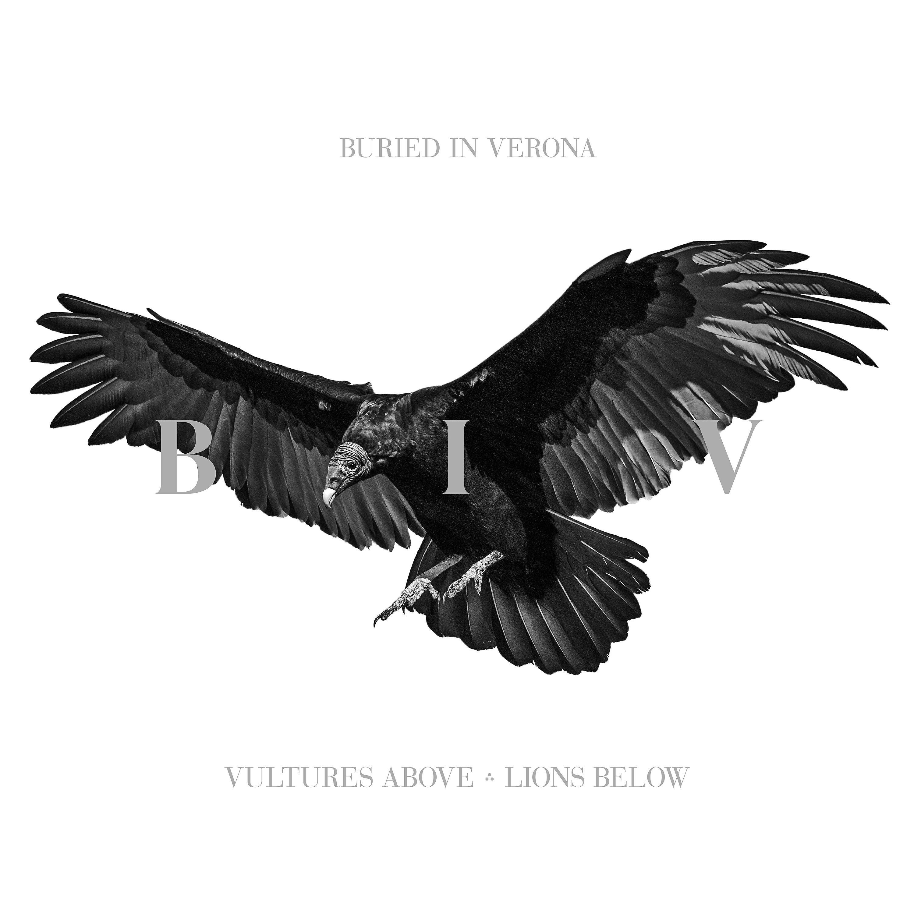 Buried In Verona - Lions Below