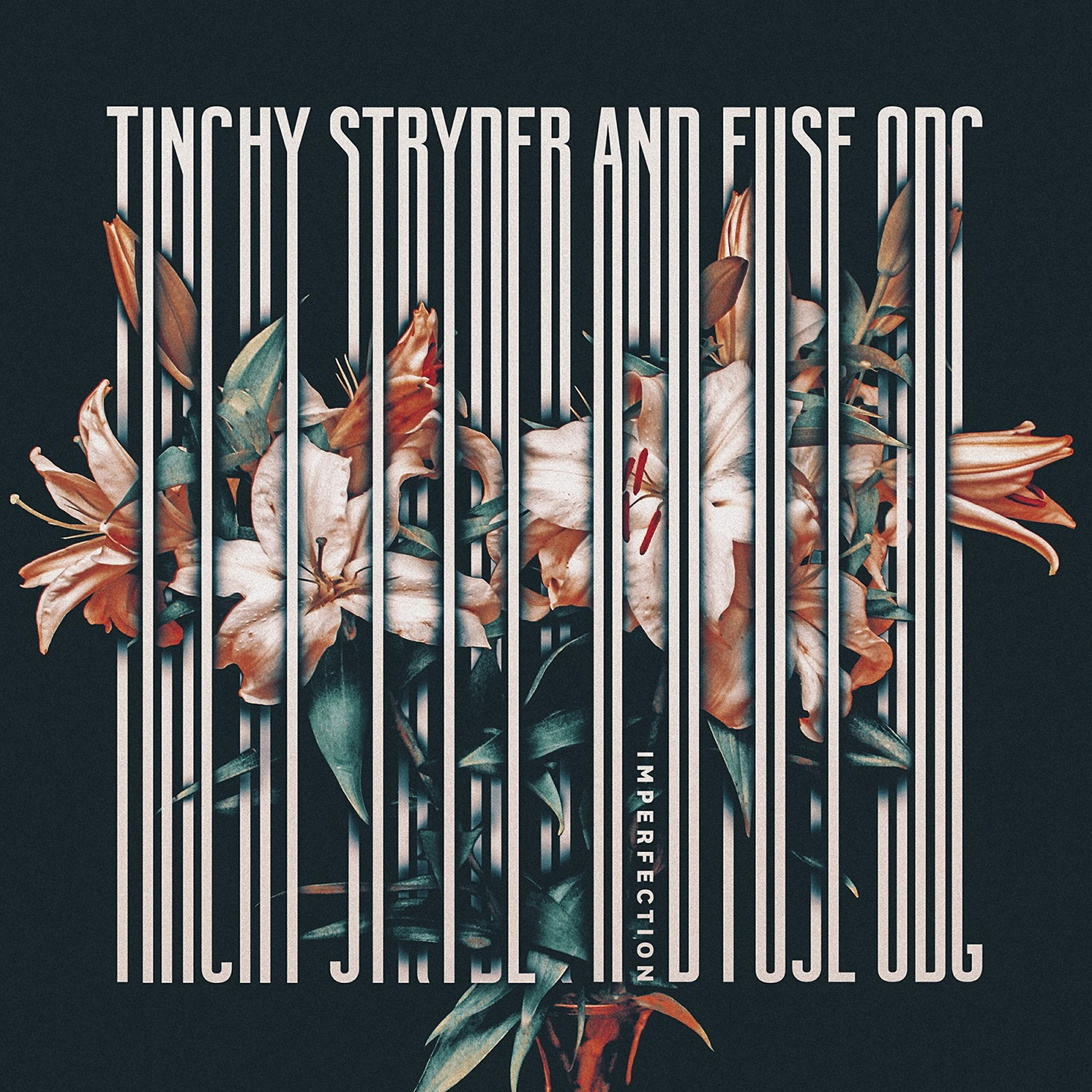 Tinchy Stryder - Imperfection (Sir Spyro Remix)