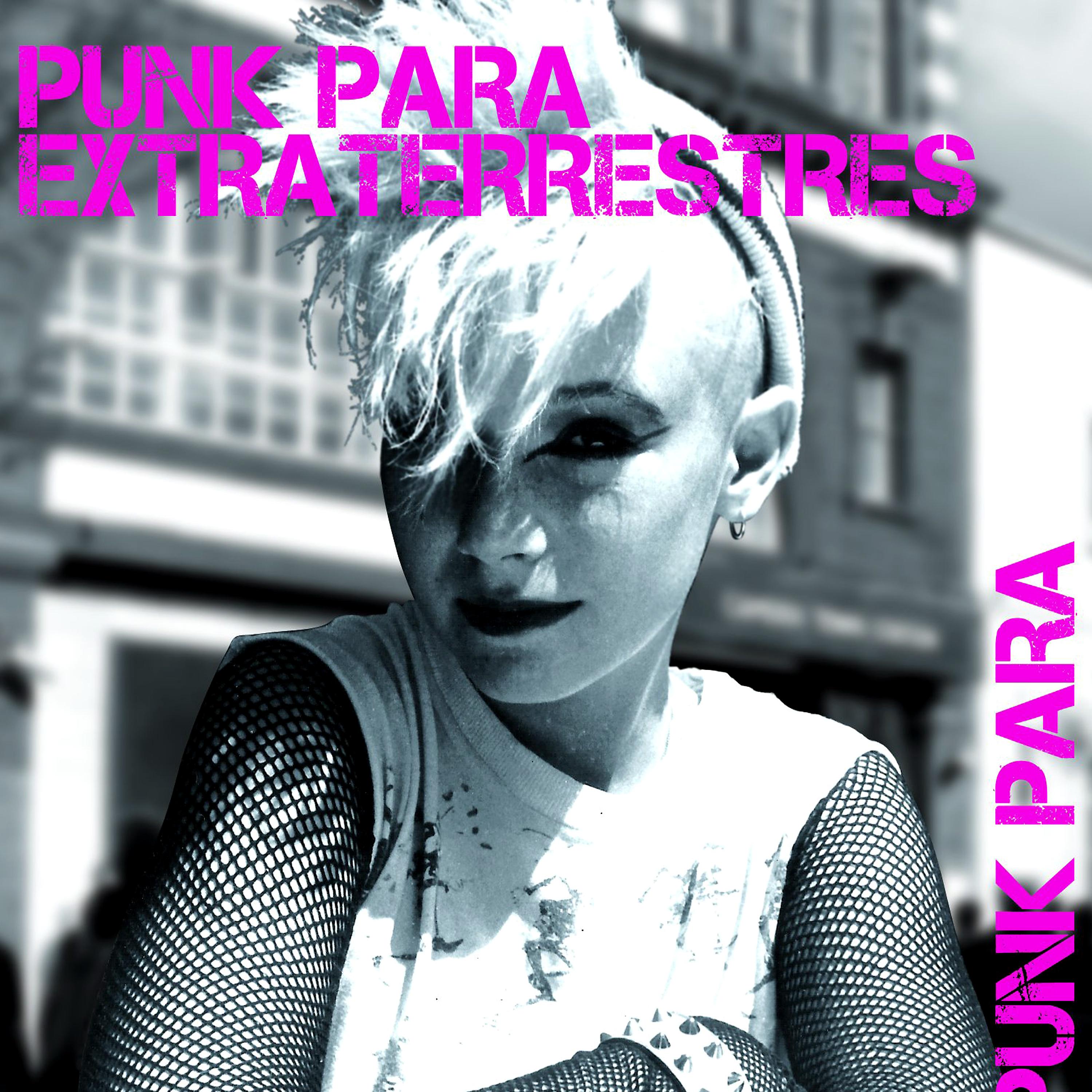 Постер альбома Punk para Extraterrestres