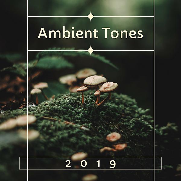 Постер альбома Ambient Tones 2019: Relaxing Mellow Beats with Nature Sounds