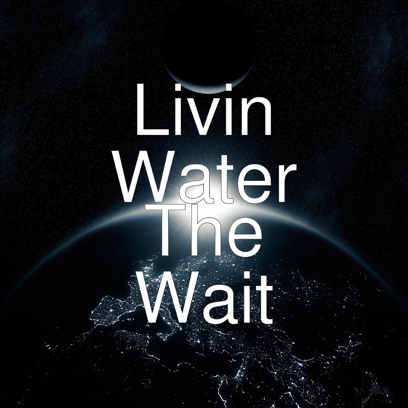 Постер альбома The Wait