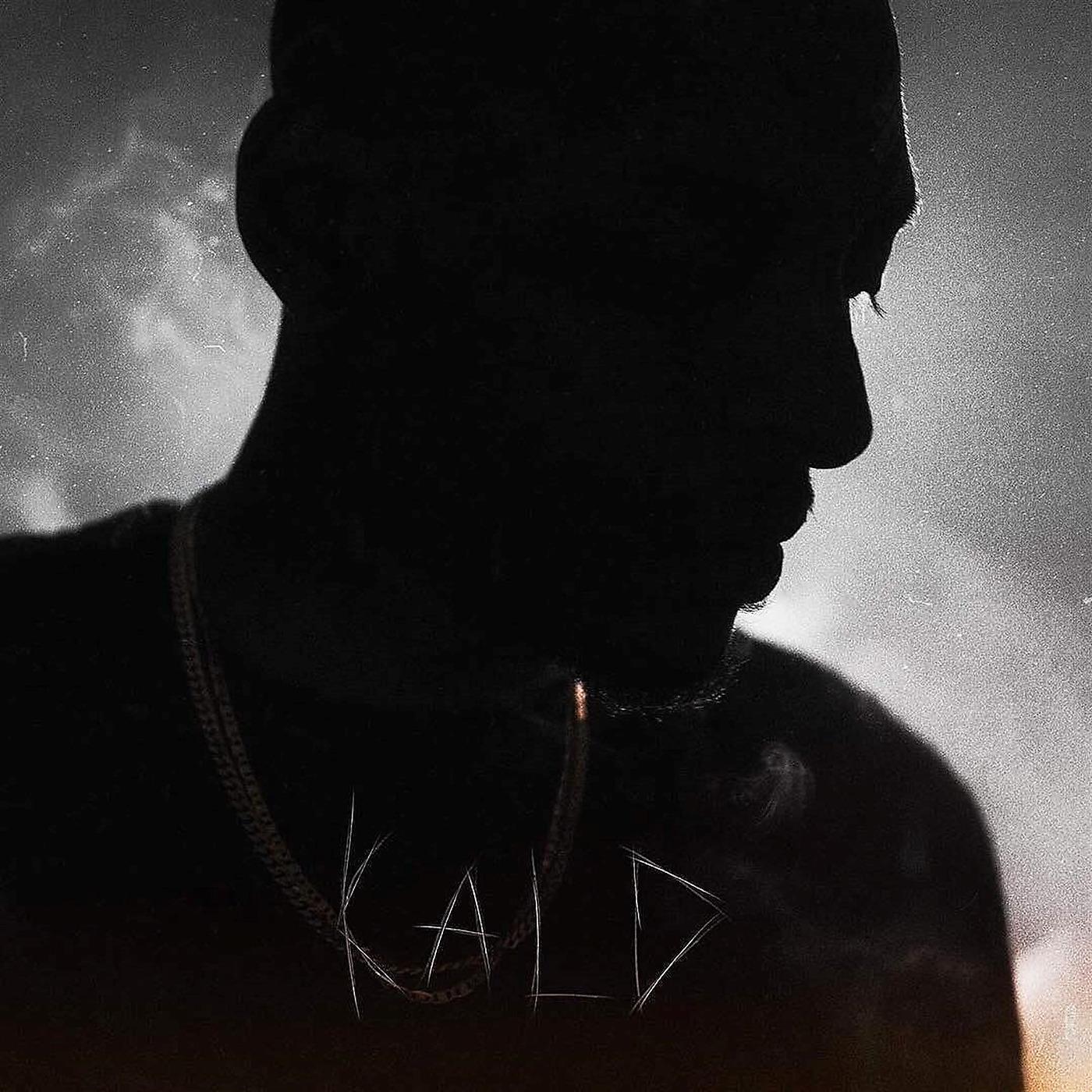 Постер альбома Kald