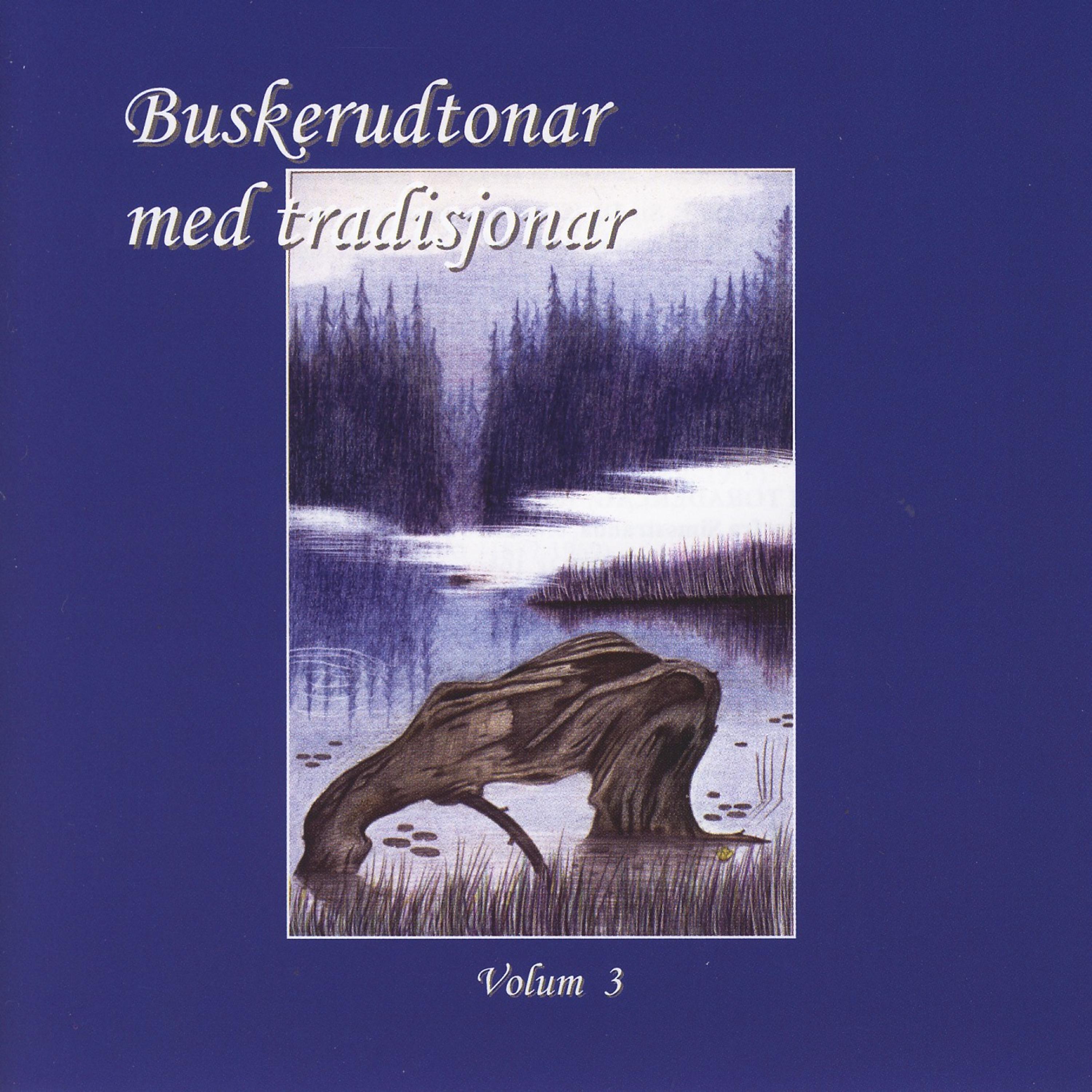 Постер альбома Buskerudtonar Med Tradisjonar, Vol. 3