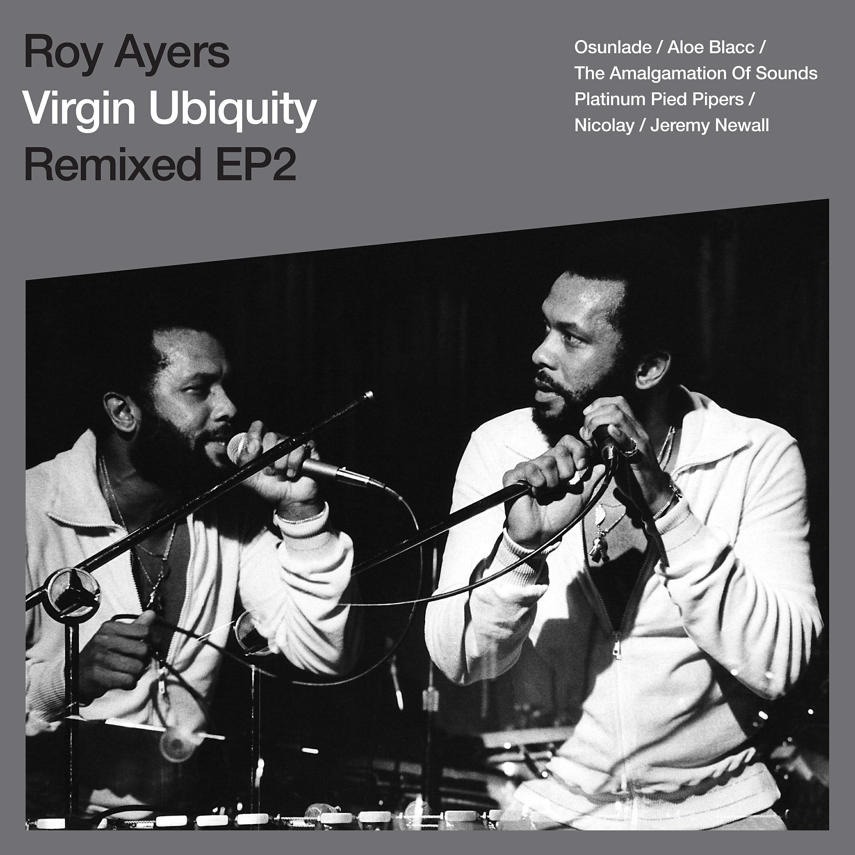Roy Ayers - Funk in the Hole (Nicolay Mix)