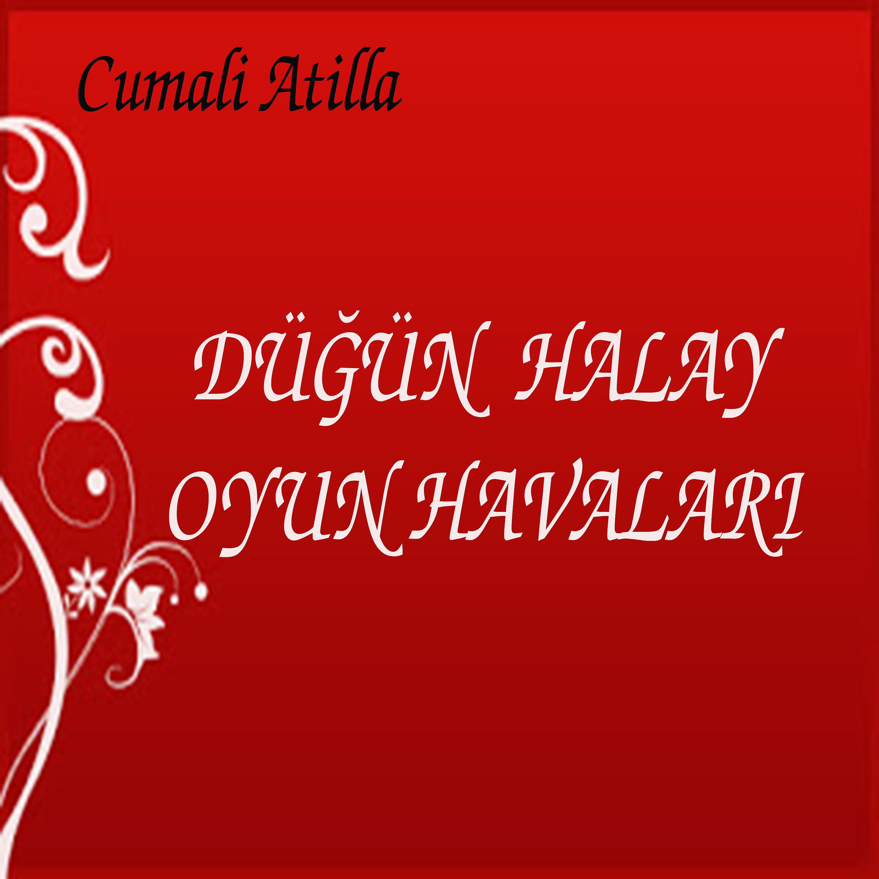 Постер альбома Düğün Halay Oyun Havaları