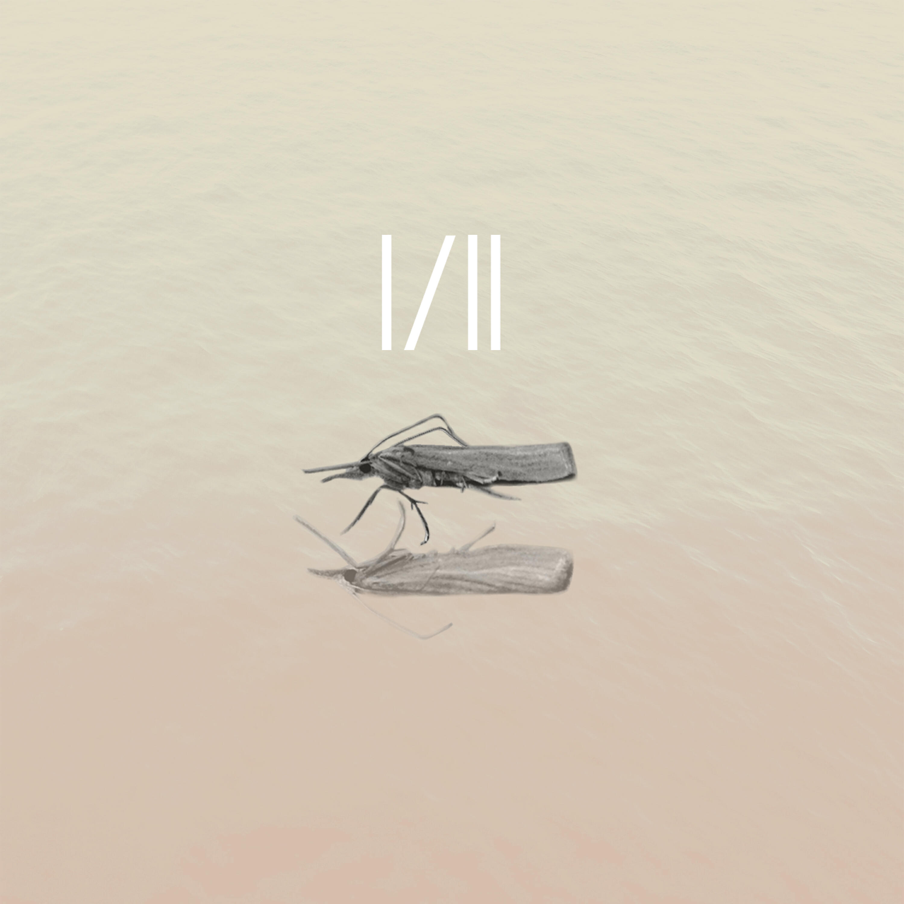 MØL - Atacama