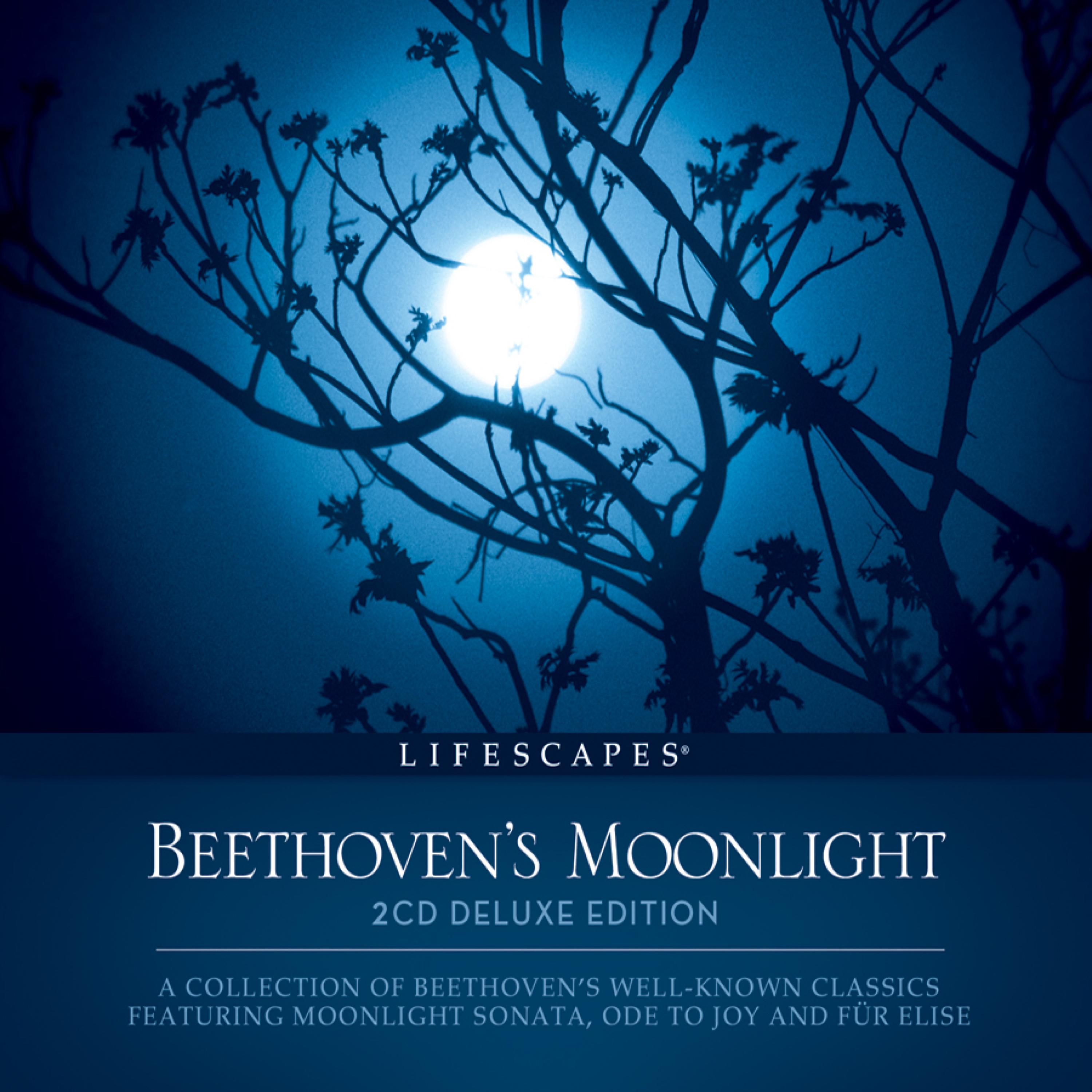 Постер альбома Beethoven's Moonlight