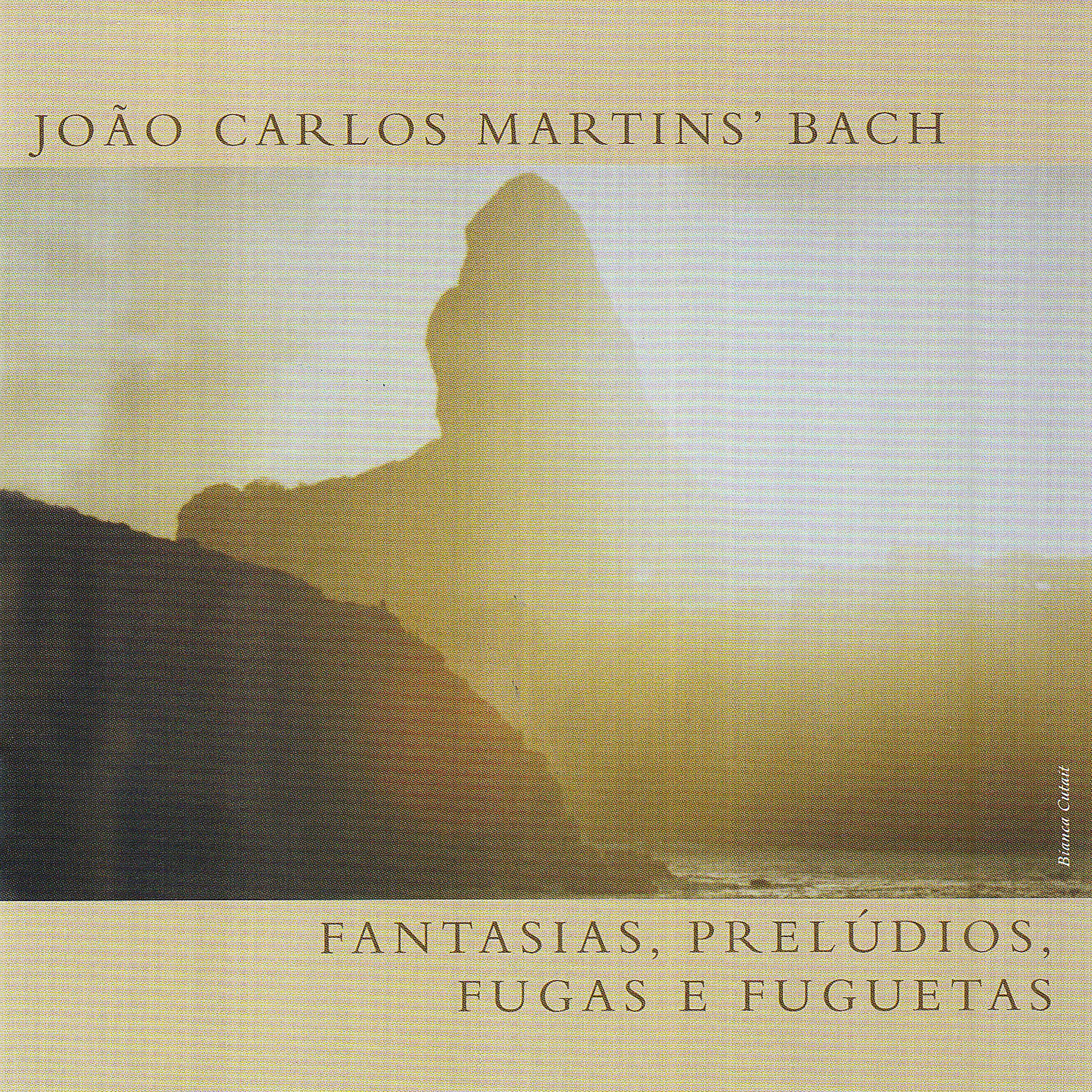 João Carlos Martins - Fantasia e Fuga Em Lá Menor, BWV 904: III. Fantasia