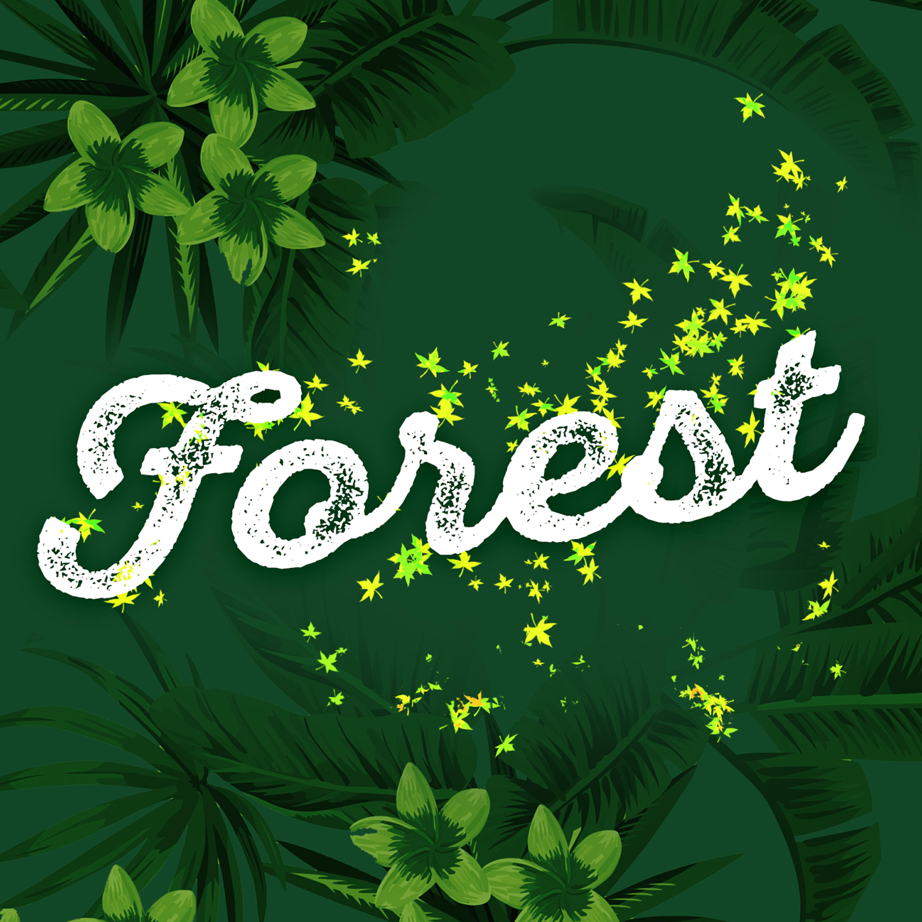 Forest Soundscapes - Water