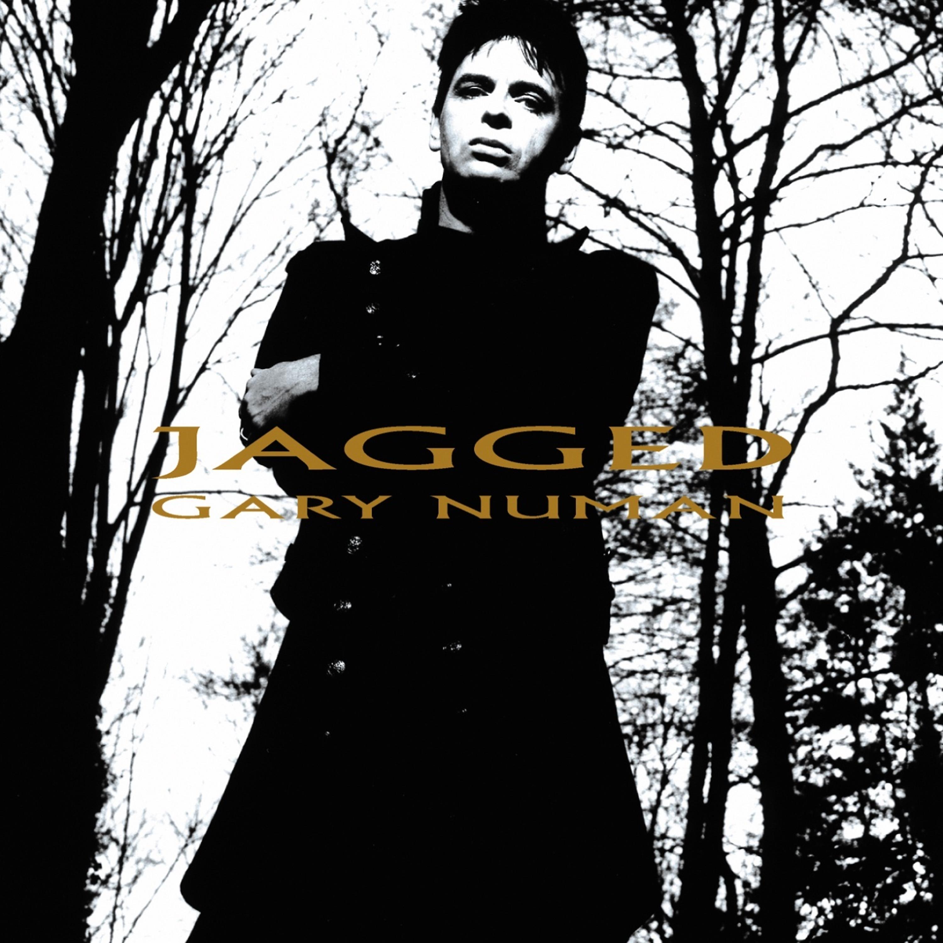 Постер альбома Jagged