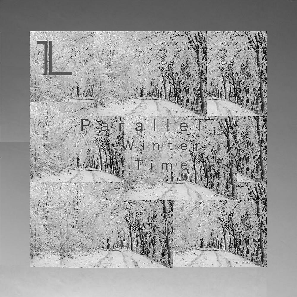 Постер альбома Parallel Winter Time