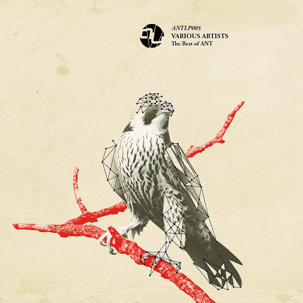 DJ Emerson - Audiopot (Flug Remix)