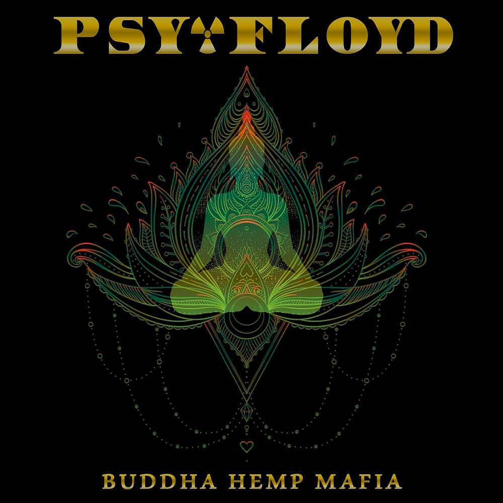 Psy-Floyd - Lsd Cat (Original Mix)