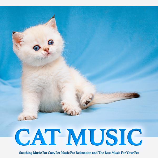 Постер альбома Cat Music: Soothing Music For Cats, Pet Music For Relaxation and The Best Music For Your Pet