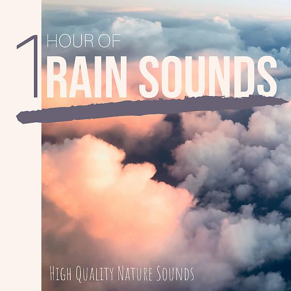 Постер альбома 1 Hour of Rain Sounds: High Quality Nature Sounds