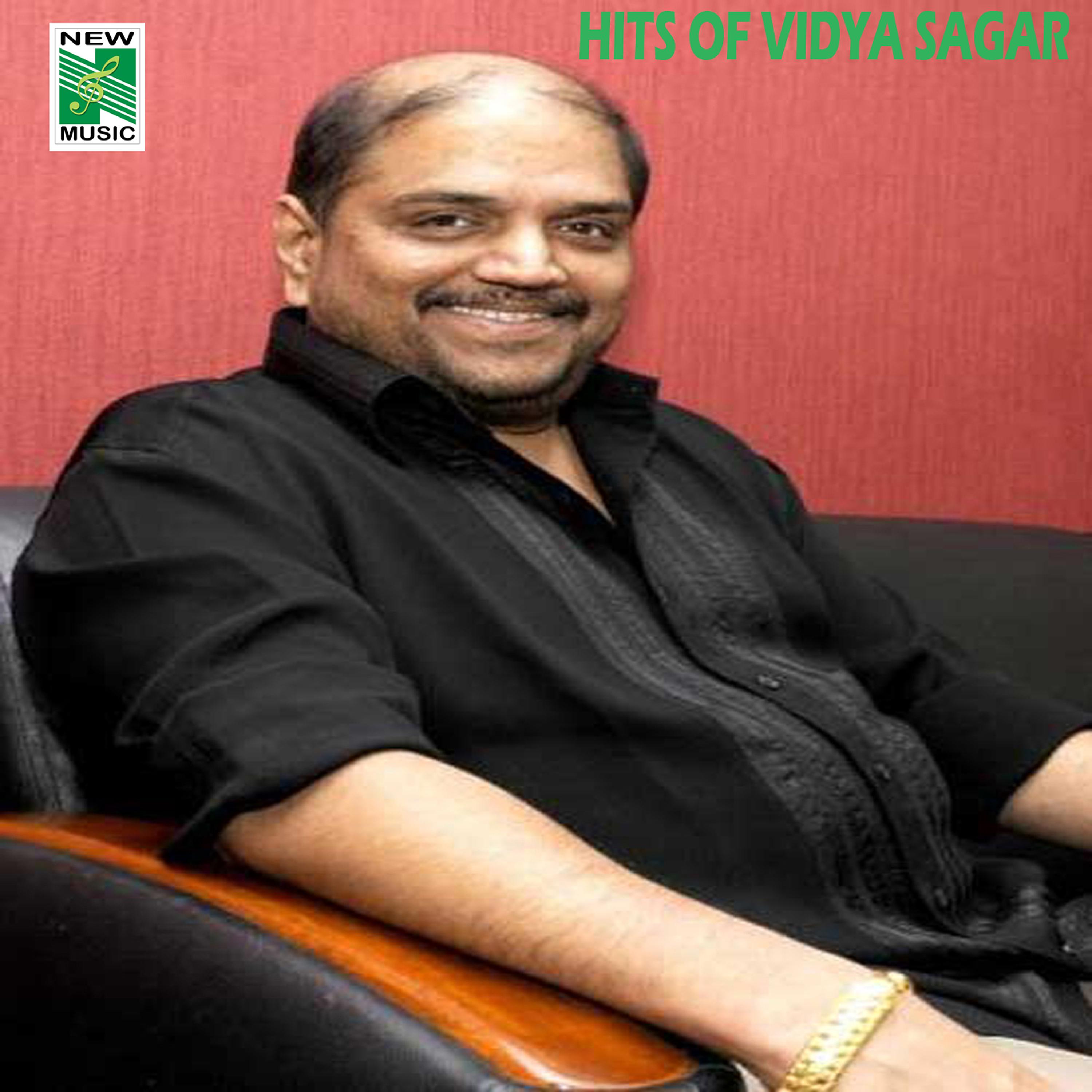 Постер альбома Hits of Vidya Sagar