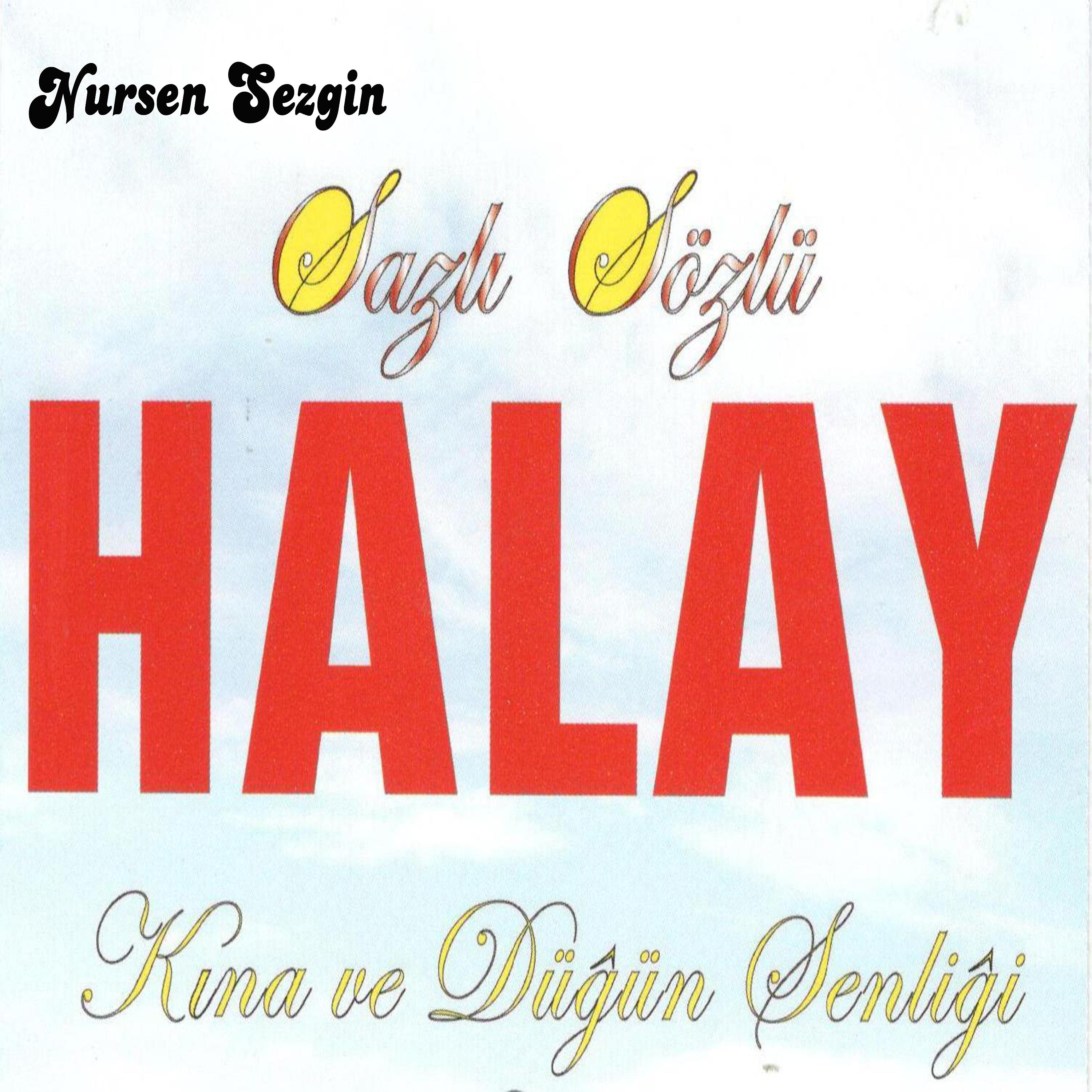 Постер альбома Sazlı Sözlü Halay Kına Ve Düğün Şenliği