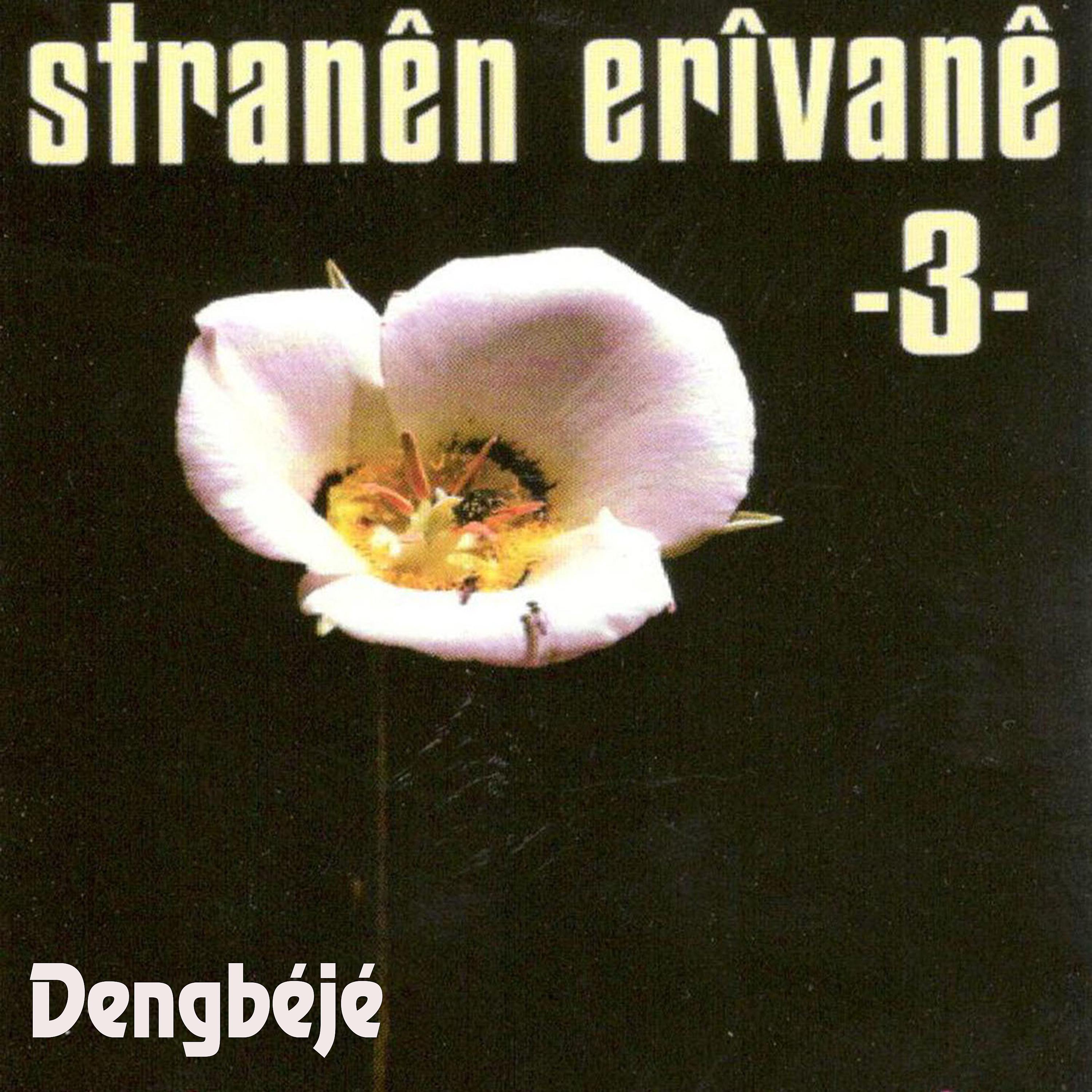 Постер альбома Dengbéjé Stranén Erîvané, Vol. 3